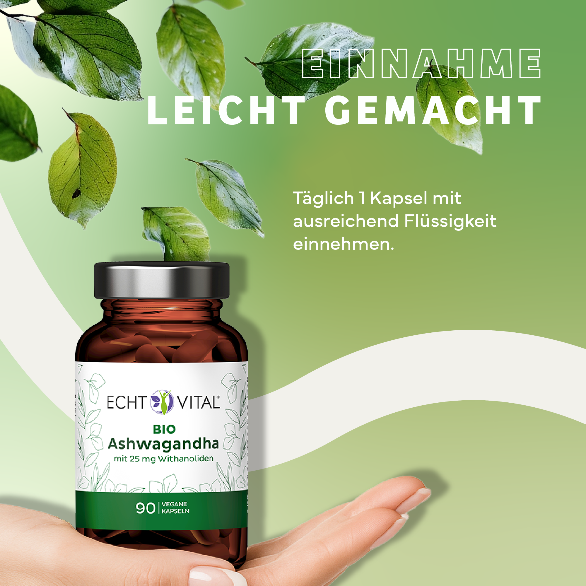 Kräuterig, Kräuter, Werbung, Blatt, Plakat