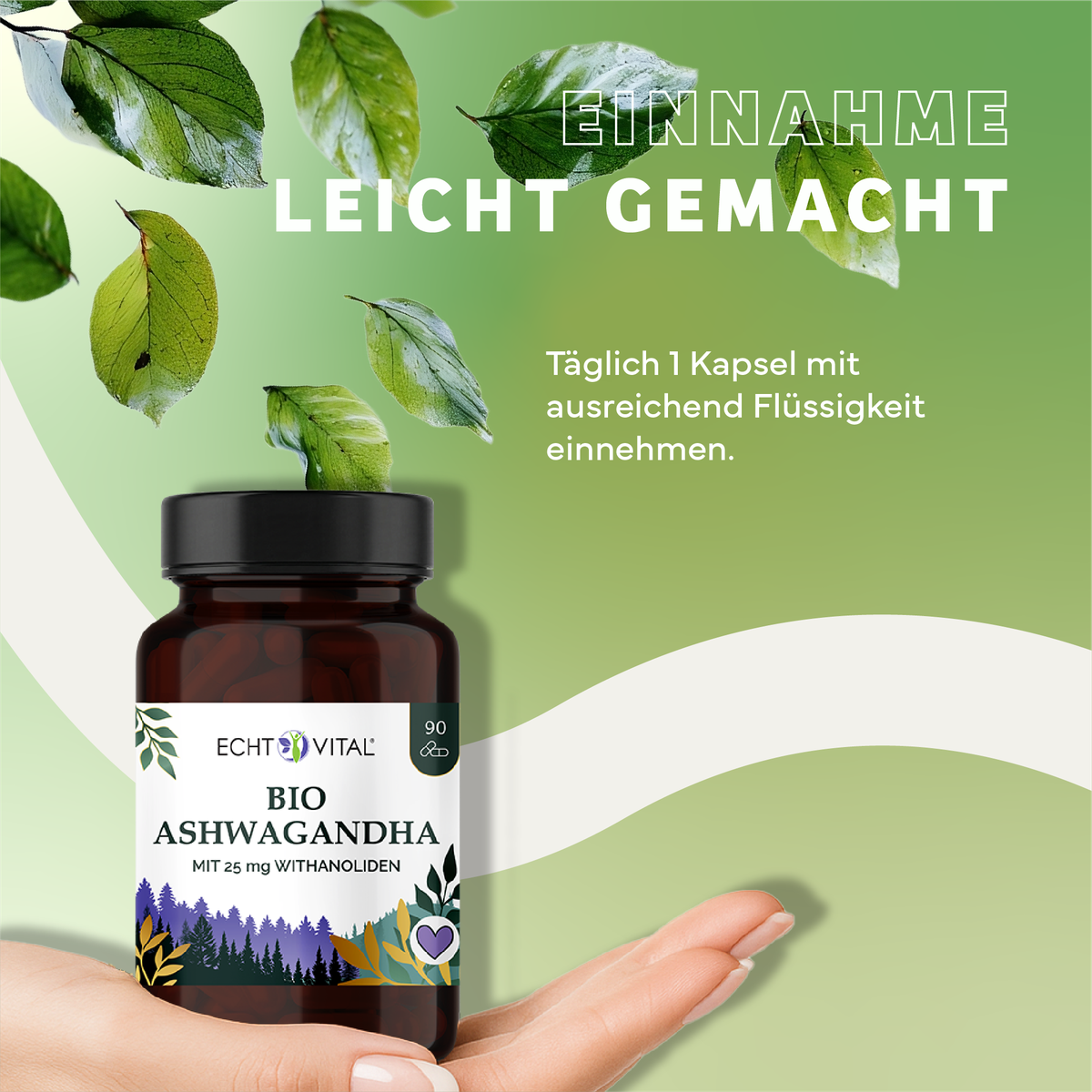 Kräuterig, Kräuter, Werbung, Blatt, Plakat, Kräuter, Werbung, Astragalus, Blatt, Kräuterig, Kräuter, Werbung, Blatt, Astragalus, Ashwagandha, Biologisch, Kapseln, Withanolide, Supplement