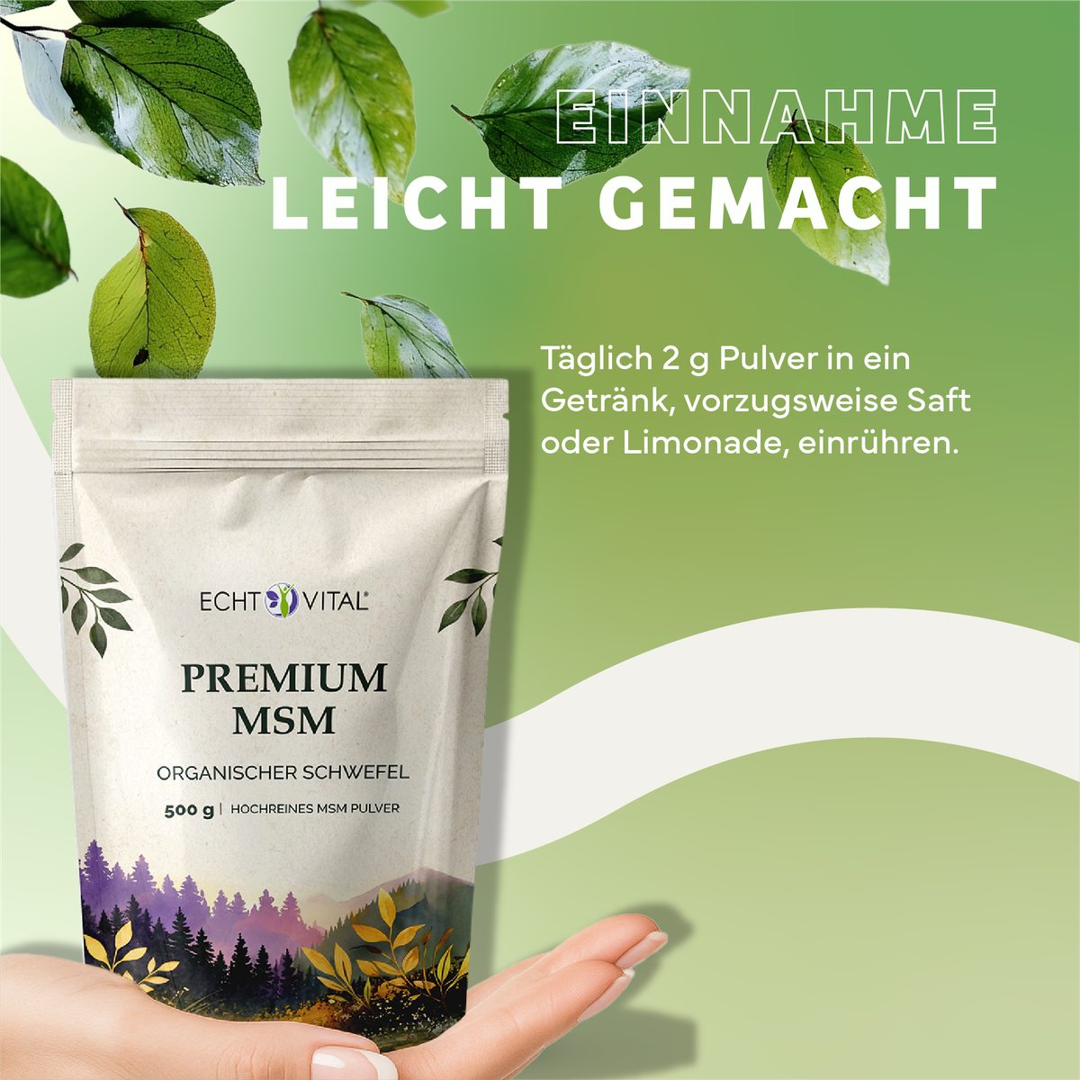 Werbung, Plakat, Kräuter, Pflanze, Blatt, Kräuter, Pflanze, Werbung, Plakat, Blatt, MSM-Pulver, organisch, Kräuterergänzung, Beutel, 500 g, MSM powder, organischer MSM, Bio MSM, Premium MSM, Beutelverpackung