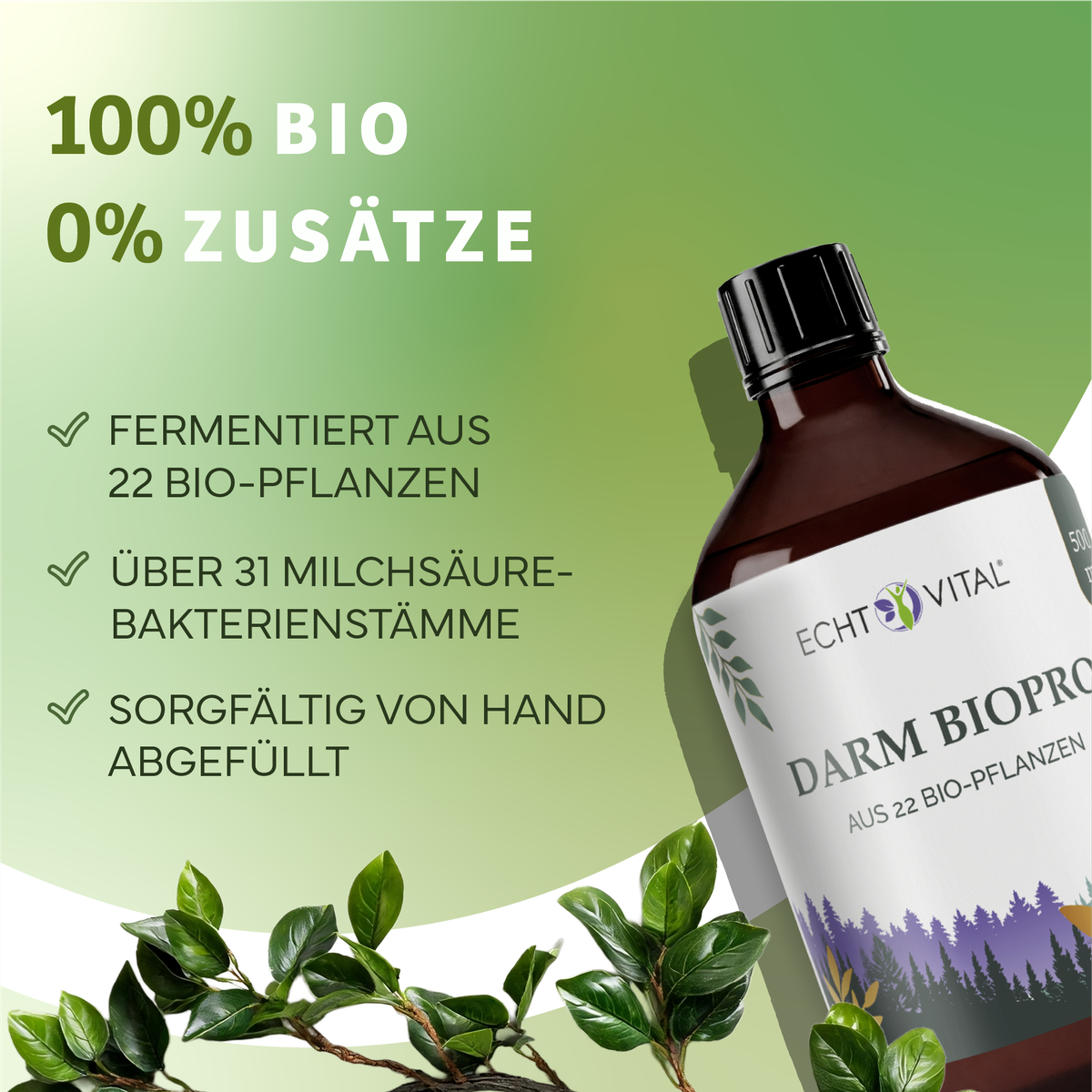 Kräuter, Werbung, Würzen, Sirup, Bio, Darm, Bakterien, Tinkturenflasche, Pflanzenbasierte, Bio, Fermentation, Bakterienstämme, Darmgesundheit, Flasche