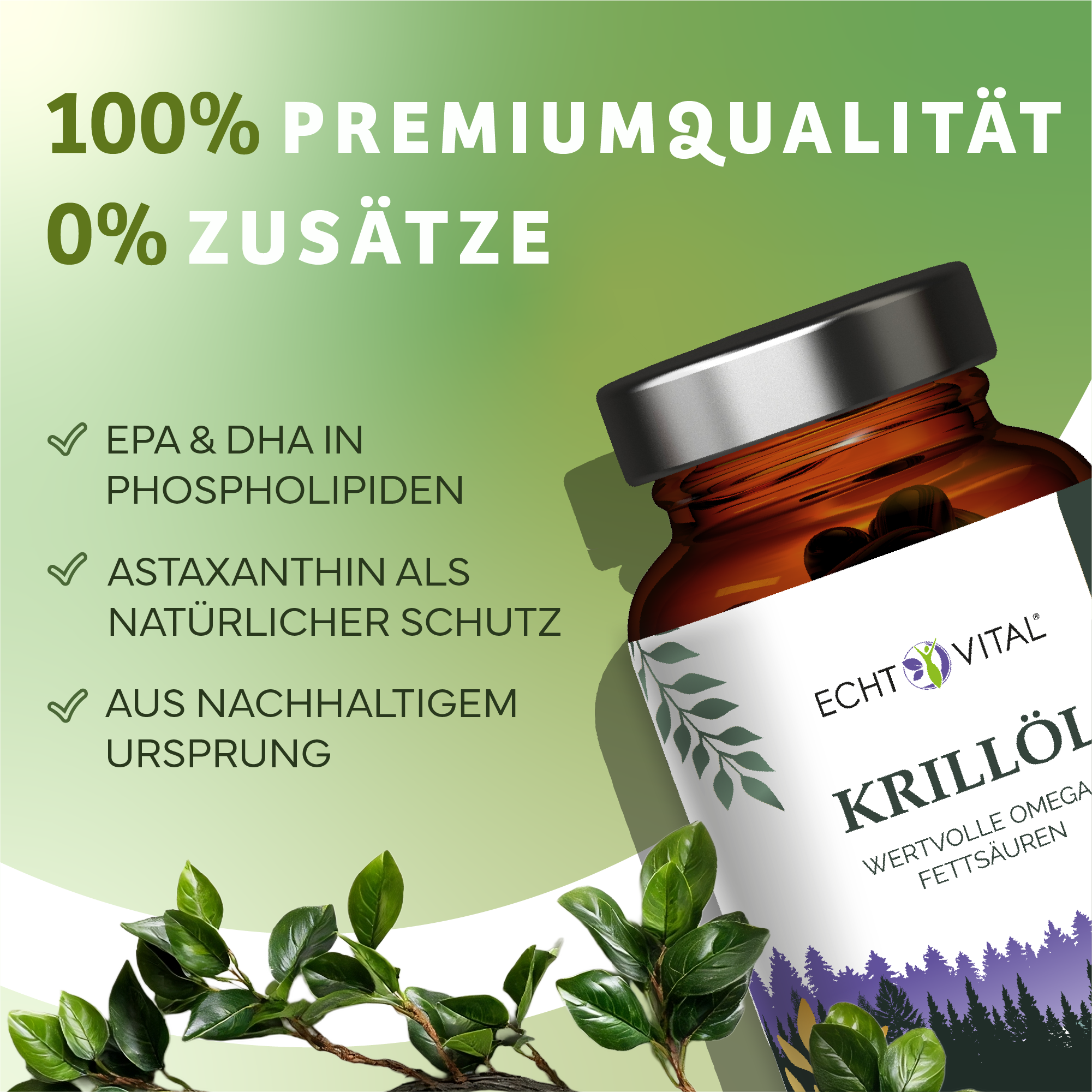 Kräuter, Pflanze, Astragalus, Werbung