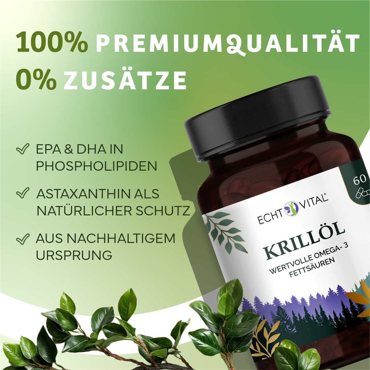 Kräuter, Pflanze, Astragalus, Werbung, Kräuterig, Kräuter, Pflanze, Astragalus, Blume, krillöl, omega-3, fettlösliche, flasche, naturbelassen