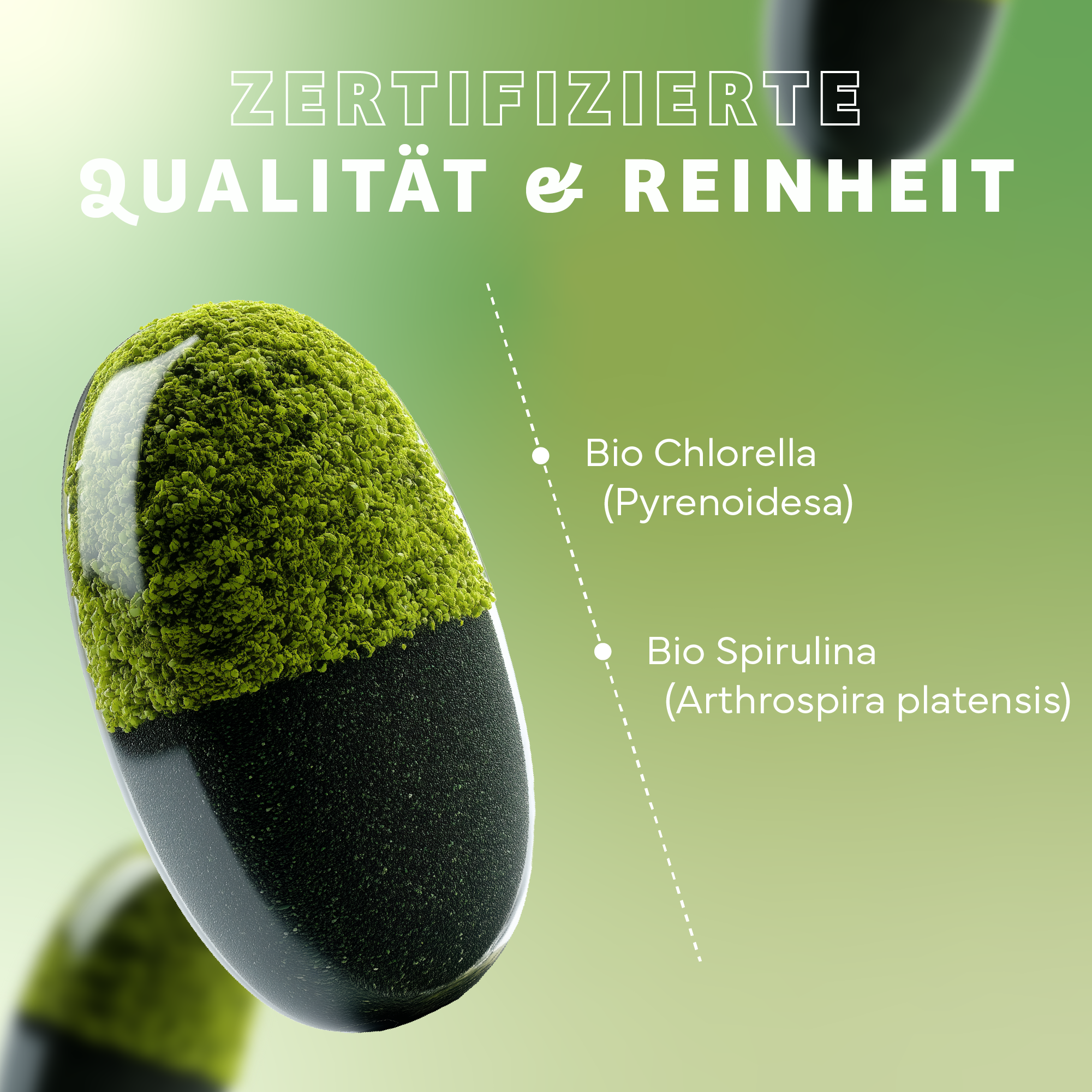 Werbung, Moos, Pflanze, Werbung, Moos, Pflanze