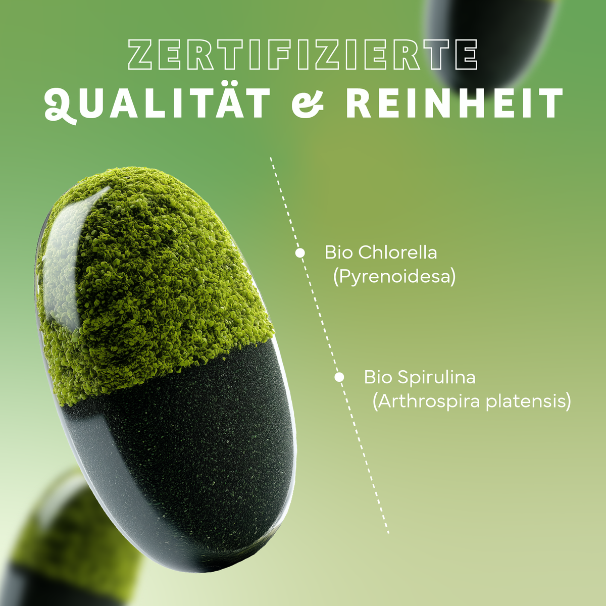 Werbung, Moos, Pflanze, Werbung, Moos, Pflanze, Werbung, Moos, Pflanze, Mikroskopischer Schmutz, Bio Spirulina?, Chlorella?, Grünes Pulver