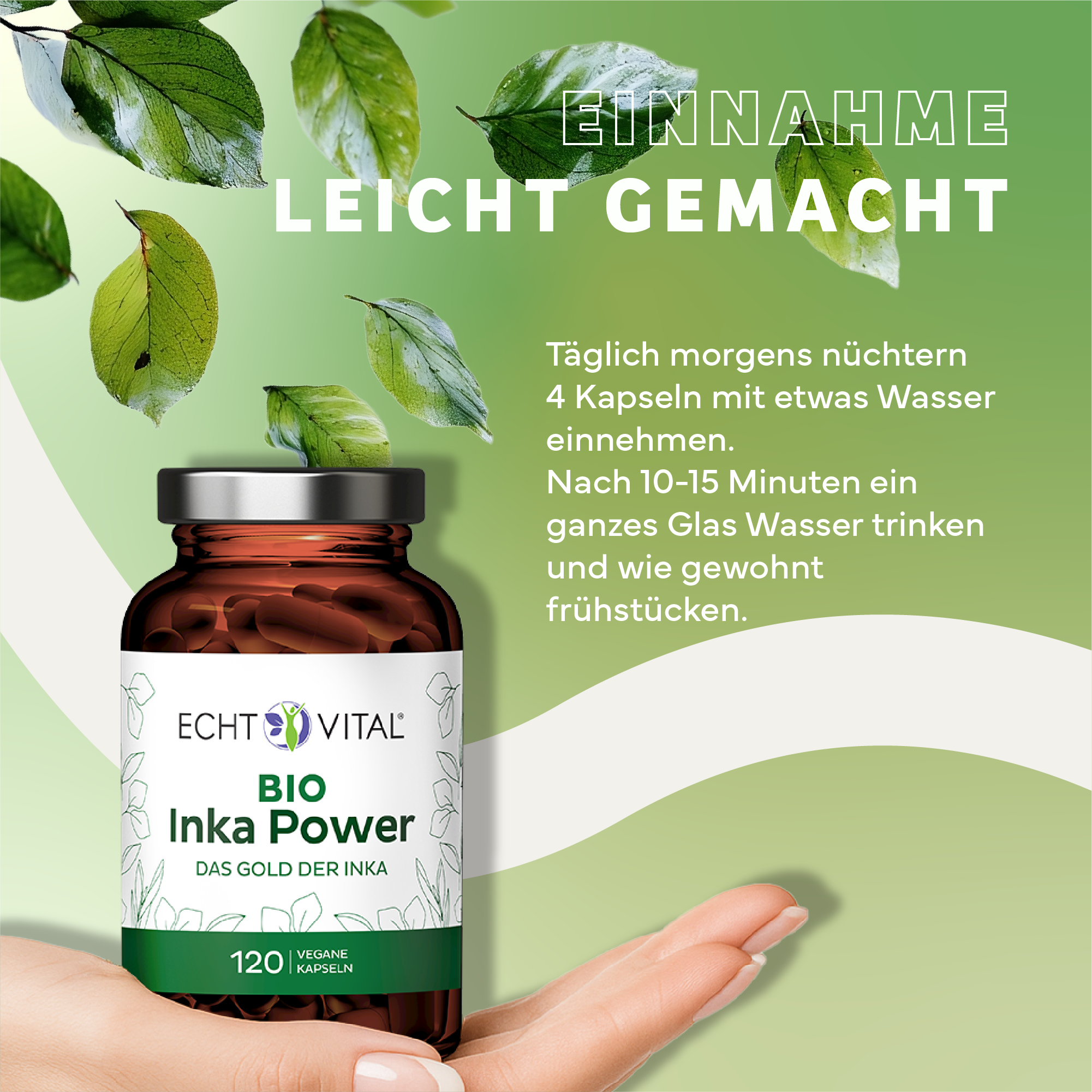 Kräuter, Werbung, Sirup, Plakat