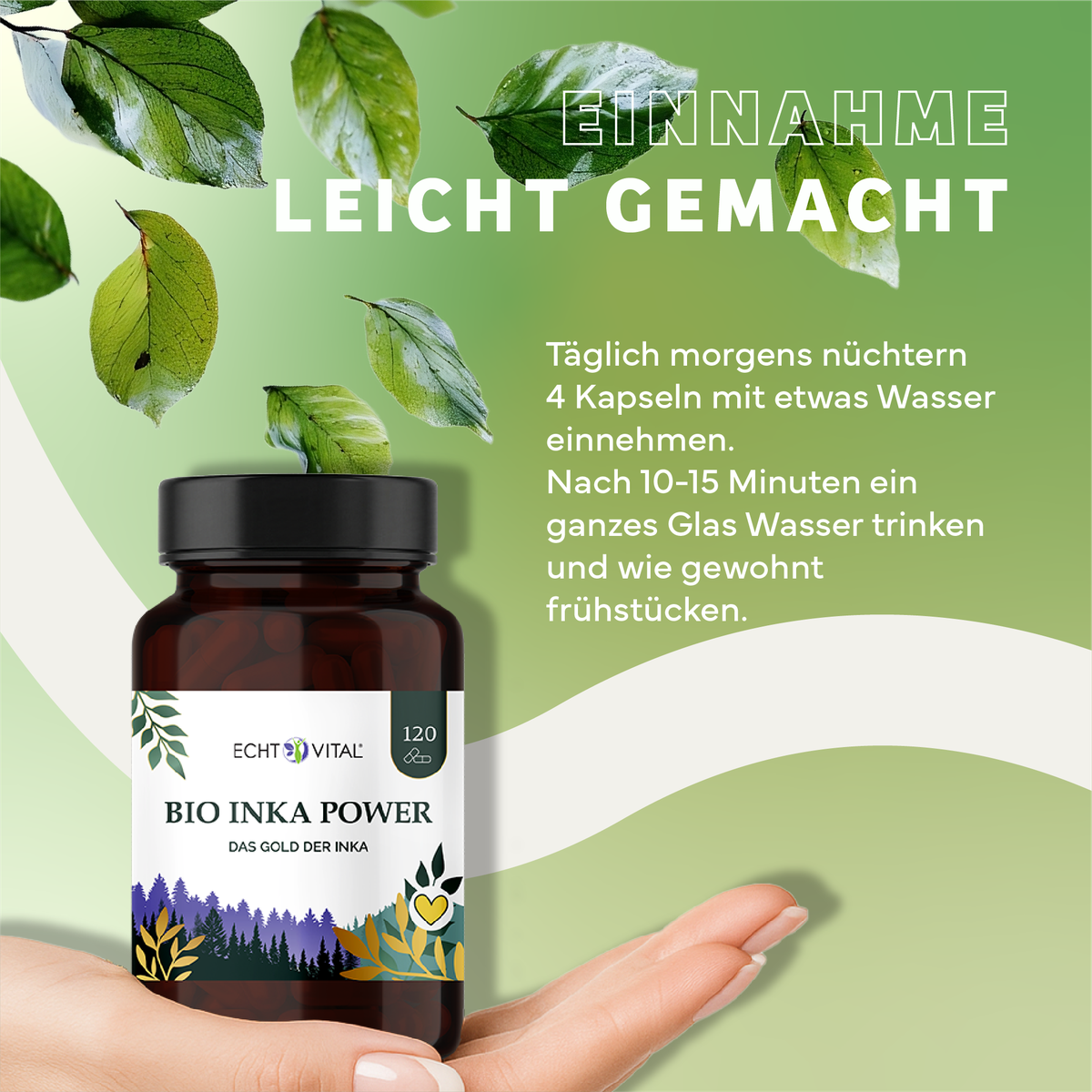 Kräuter, Werbung, Sirup, Plakat, Kräuterig, Kräuter, Werbung, Blatt, Plakat, Bio Ink Power, Kapseln, Nahrungsergänzung, Inka-Thema, Naturprodukt