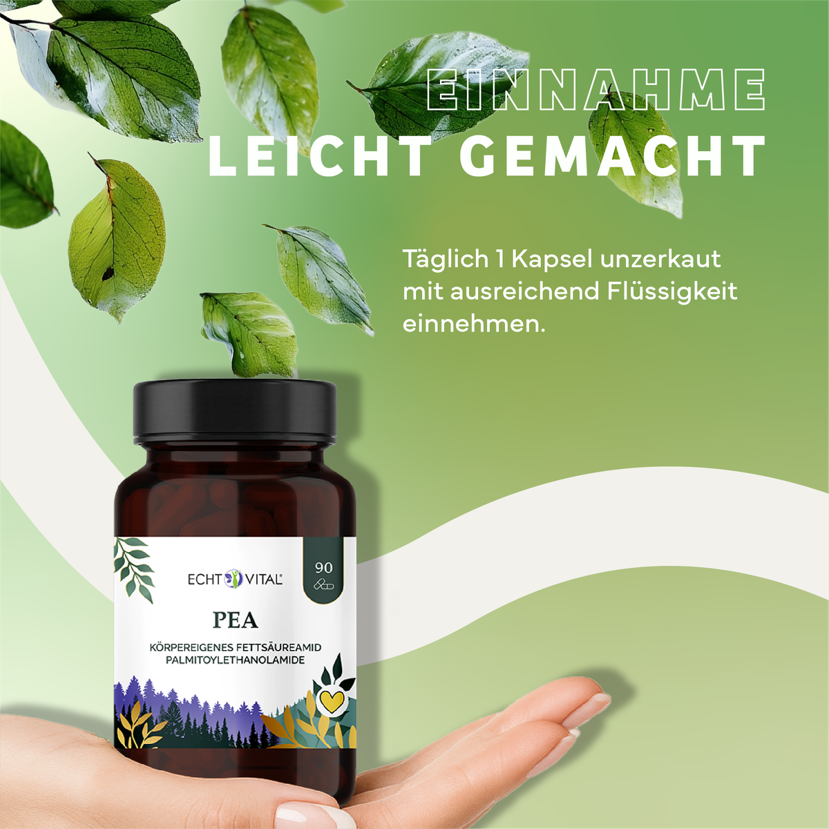 Kräuter, Werbung, Plakat, Astragalus, Kräuterig, Kräuter, Pflanze, Werbung, Astragalus, Kräuterig, Kräuter, Werbung, Blatt, Astragalus, Kapseln, PEA, Palmitoylethanolamid, Körperpflege, Ergänzung