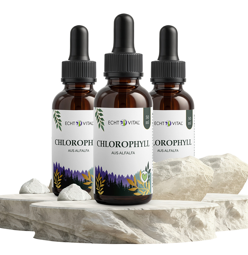 Chlorophyll Tropfen - ECHT VITAL Premium Qualität