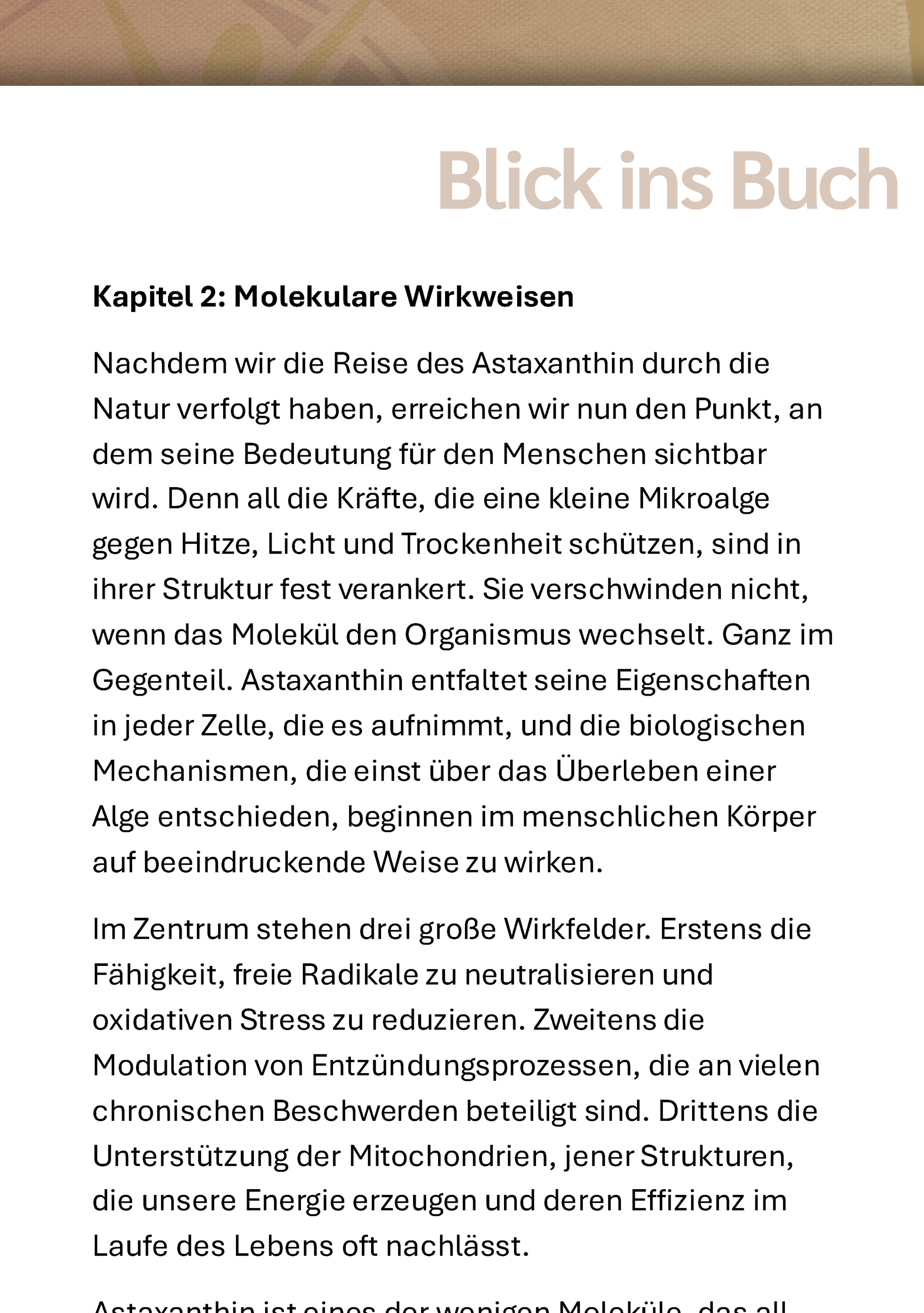 Seite, Text, Werbung, Plakat, Brief