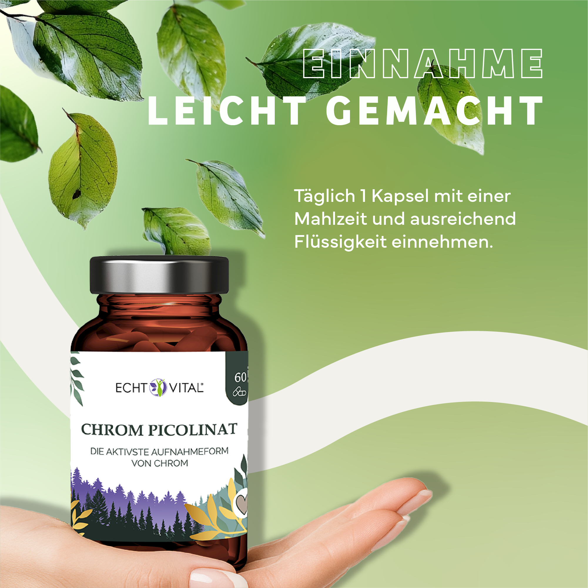 Kräuterig, Kräuter, Werbung, Sirup, Plakat, Kräuterig, Kräuter, Werbung, Plakat, Blatt, Kräuter, Werbung, Plakat, Blatt, Kräuter, Werbung, Plakat, Blatt