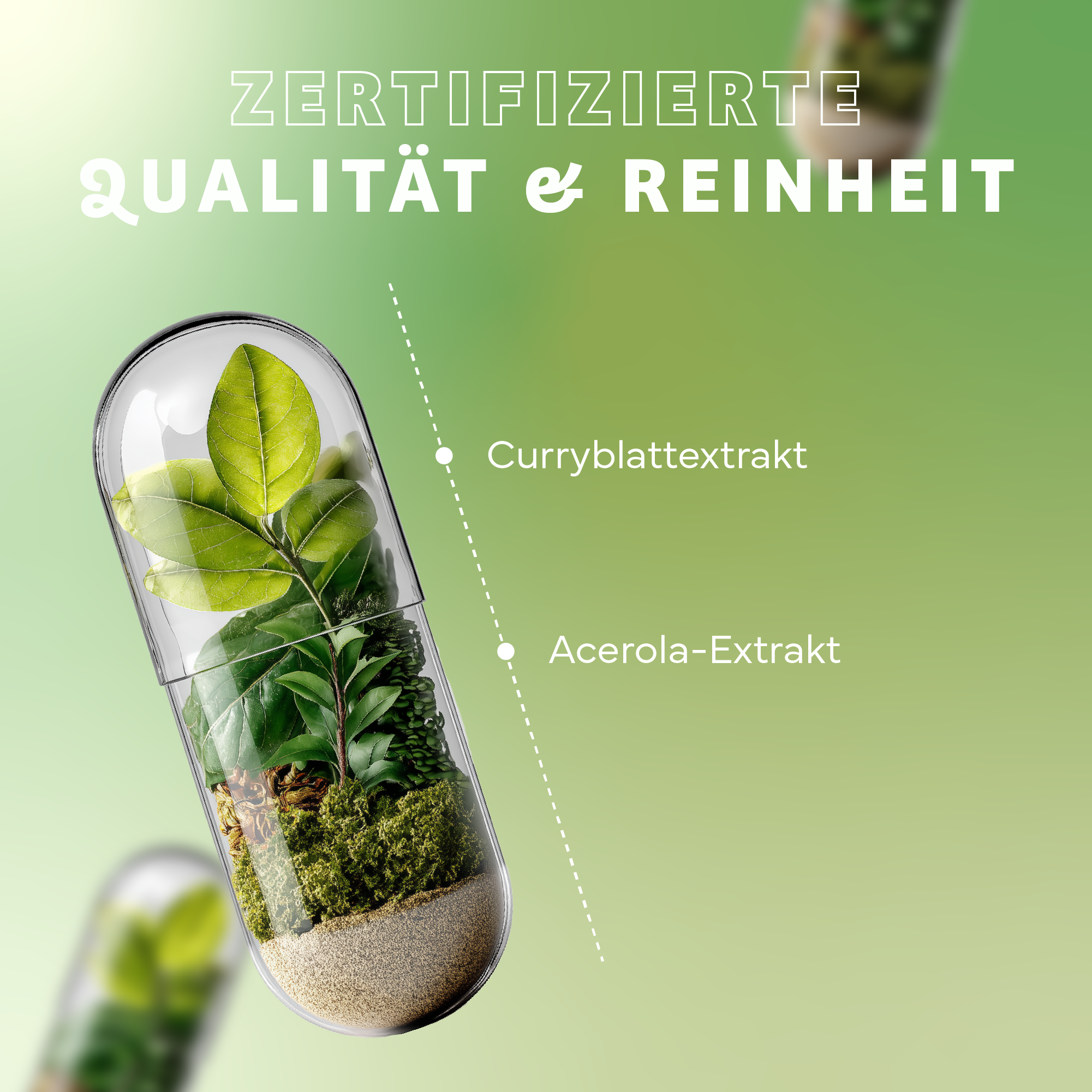 Kräuter, Pflanze, Werbung, Plakat