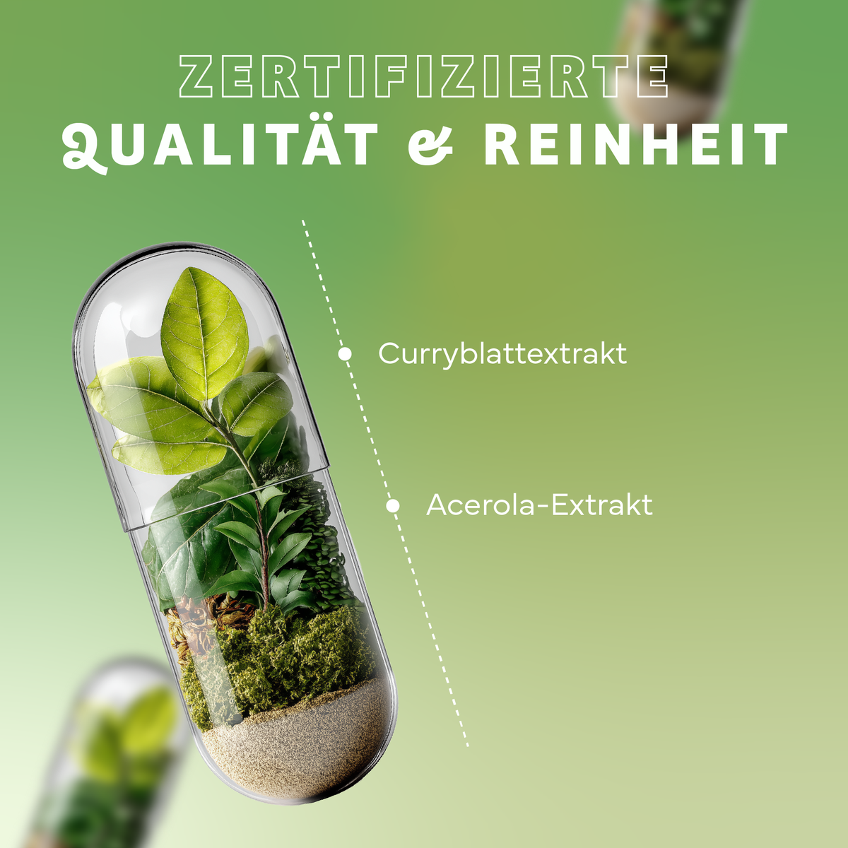 Kräuter, Pflanze, Werbung, Plakat, Kräuterig, Kräuter, Pflanze, Werbung, Pill Capsule, Kräuter, Blättergrün, Acerola-Extrakt, Curryblatt