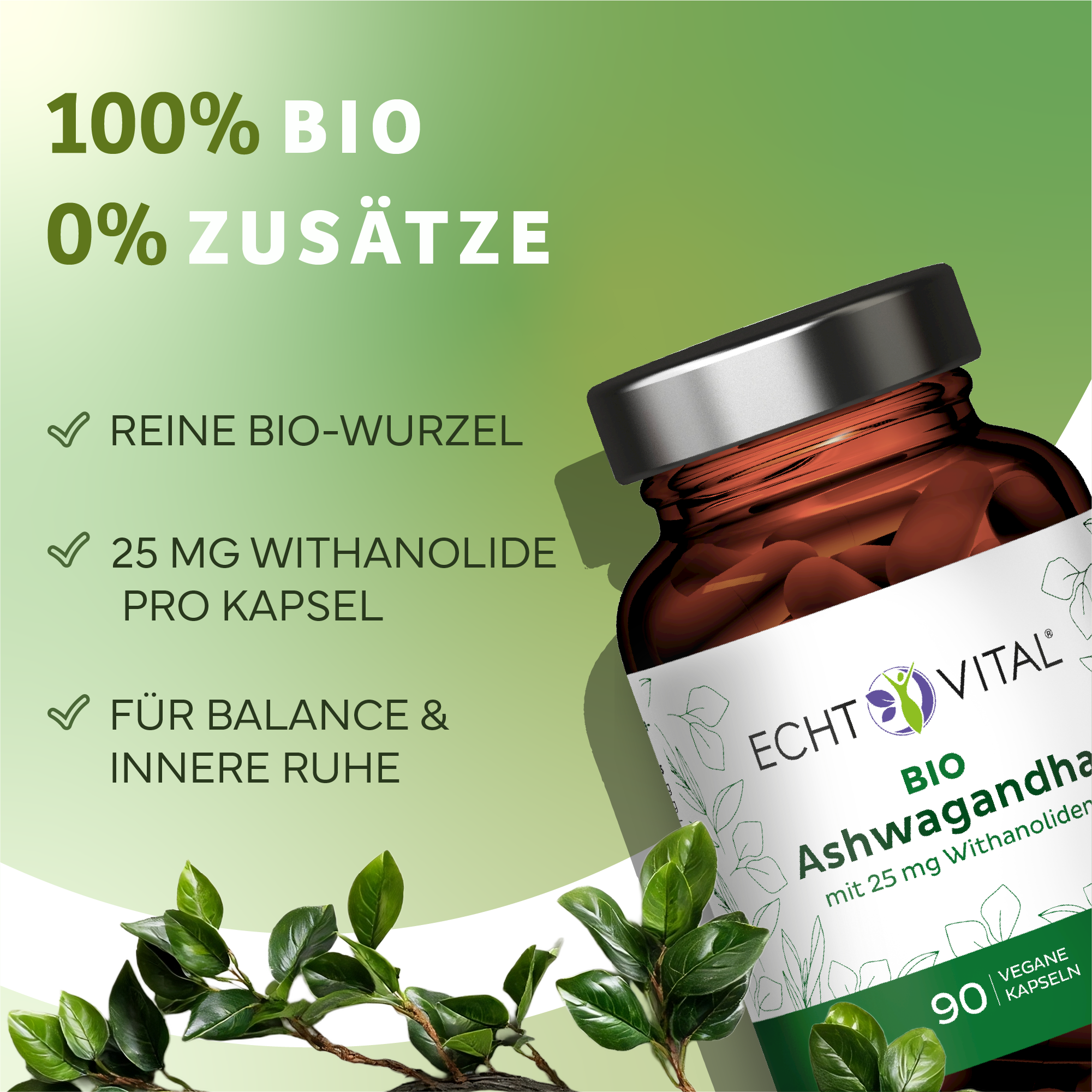 Kräuterig, Kräuter, Pflanze, Werbung, Astragalus