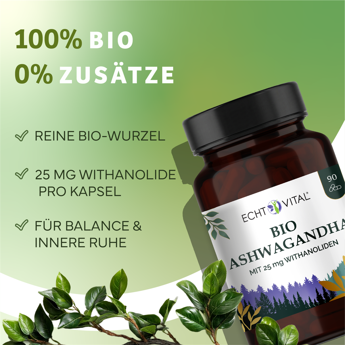 Kräuterig, Kräuter, Pflanze, Werbung, Astragalus, Kräuter, Pflanze, Astragalus, Sirup, Kräuterig, Kräuter, Pflanze, Astragalus, Blume, Bio, Ashwagandha, Kapseln, Mit Thanoliden, Vitamin-Supplement