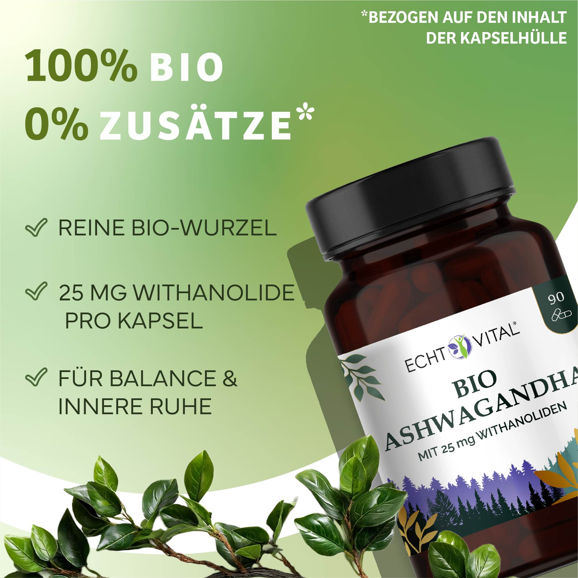 Kräuterig, Kräuter, Pflanze, Werbung, Astragalus, Kräuter, Pflanze, Astragalus, Sirup, Kräuterig, Kräuter, Pflanze, Astragalus, Blume, Bio, Ashwagandha, Kapseln, Mit Thanoliden, Vitamin-Supplement, Kapseln, Bio-Wurzel, Withanolide, Ashwagandha, Vitalprodu