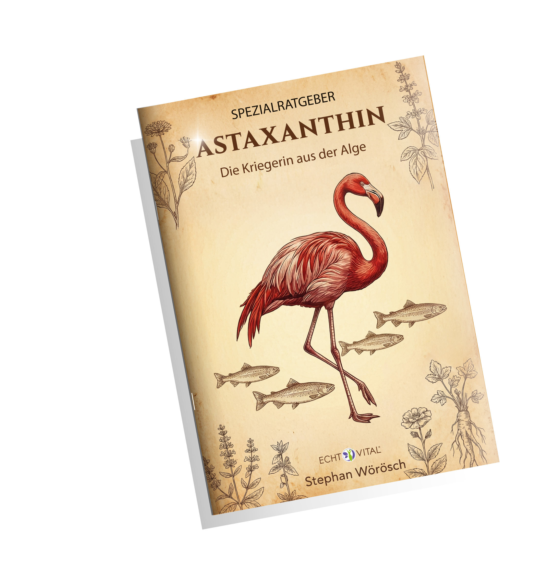 Produktinformationen