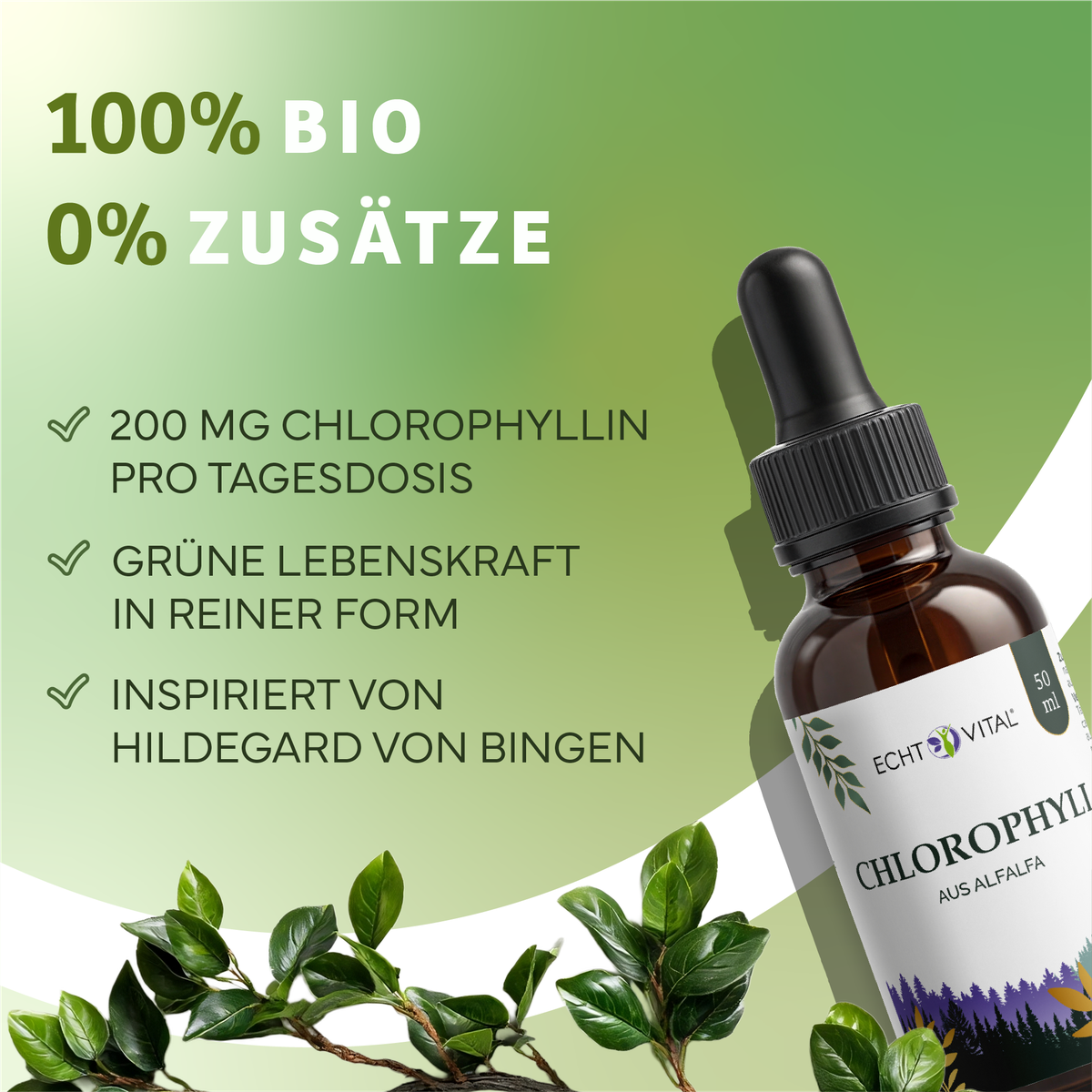 Kräuterig, Kräuter, Werbung, Plakat, Parfüm, Kräuterig, Kräuter, Werbung, Plakat, Parfüm, chlorophyllin, bio, tropfen, flasche, pflanzenextrakt, Chlorophyllin, Flüssigkeitstropfen, Glasflasche, Grün/Grüntöne, Inhaltsstoffe