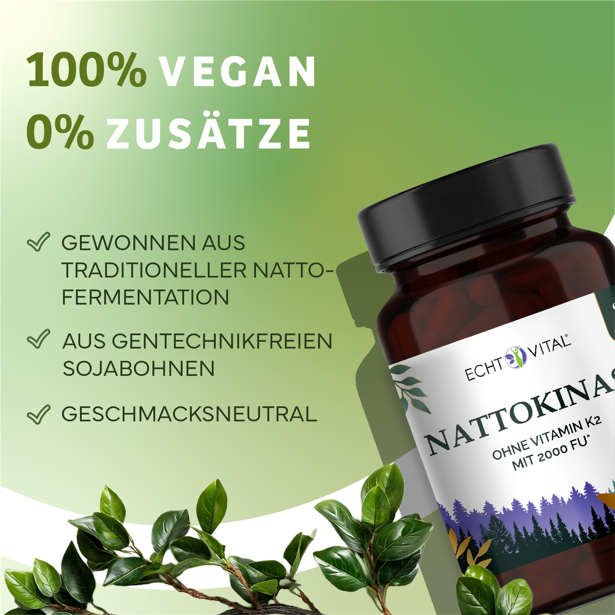 Kräuterig, Kräuter, Pflanze, Werbung, Astragalus, vitamin-k2, natto, soja, flasche, neutraler geschmack