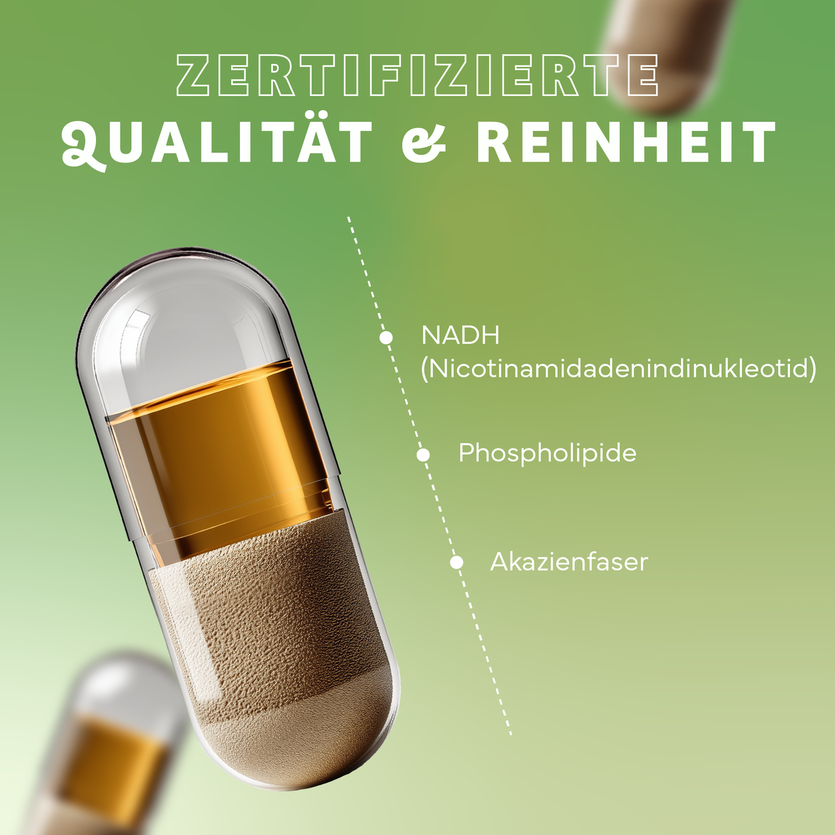 Medikamente, Pille, NADH, Phospholipide, Akazienfaser, Nahrungsergänzung