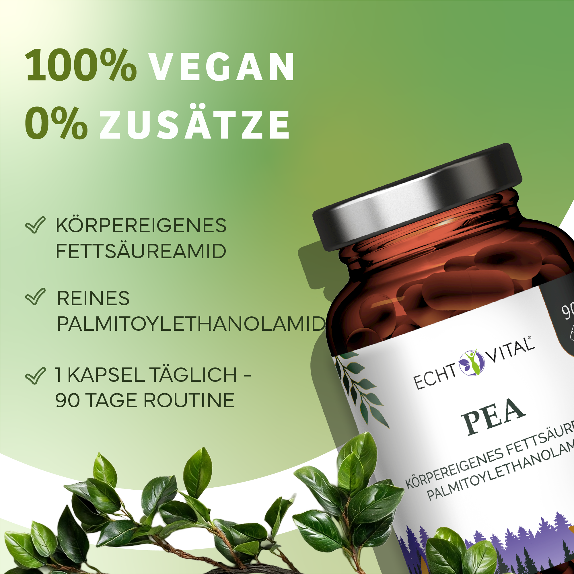 Kräuter, Werbung, Astragalus, Sirup
