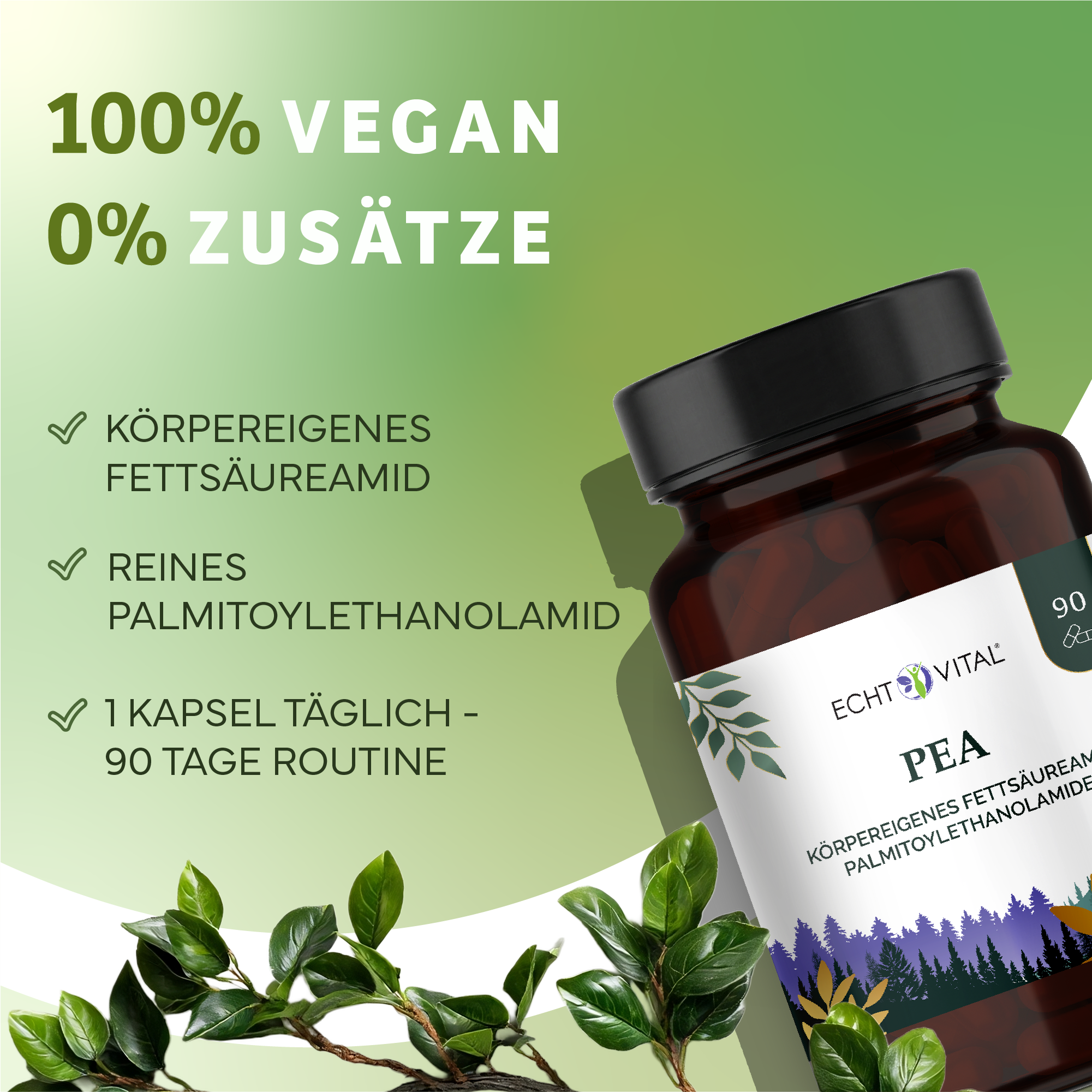 Kräuter, Werbung, Astragalus, Sirup, Kräuterig, Kräuter, Pflanze, Werbung, Astragalus