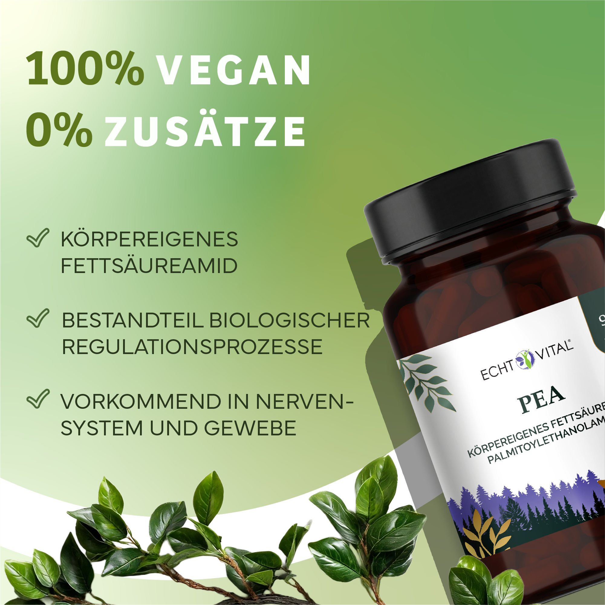 Kräuter, Werbung, Astragalus, Sirup, Kräuterig, Kräuter, Pflanze, Werbung, Astragalus, Kräuterig, Kräuter, Pflanze, Werbung, Astragalus