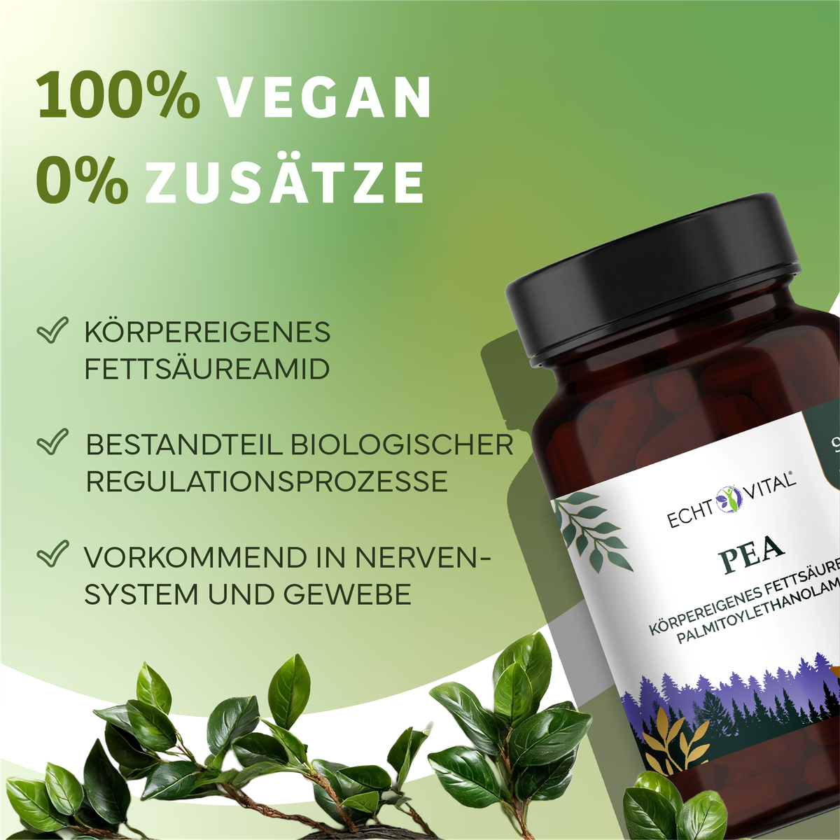 Kräuter, Werbung, Astragalus, Sirup, Kräuterig, Kräuter, Pflanze, Werbung, Astragalus, Kräuterig, Kräuter, Pflanze, Werbung, Astragalus, Flasche, Nahrungsergänzung, Erbsenöl, fettsäure, pflanzenöl