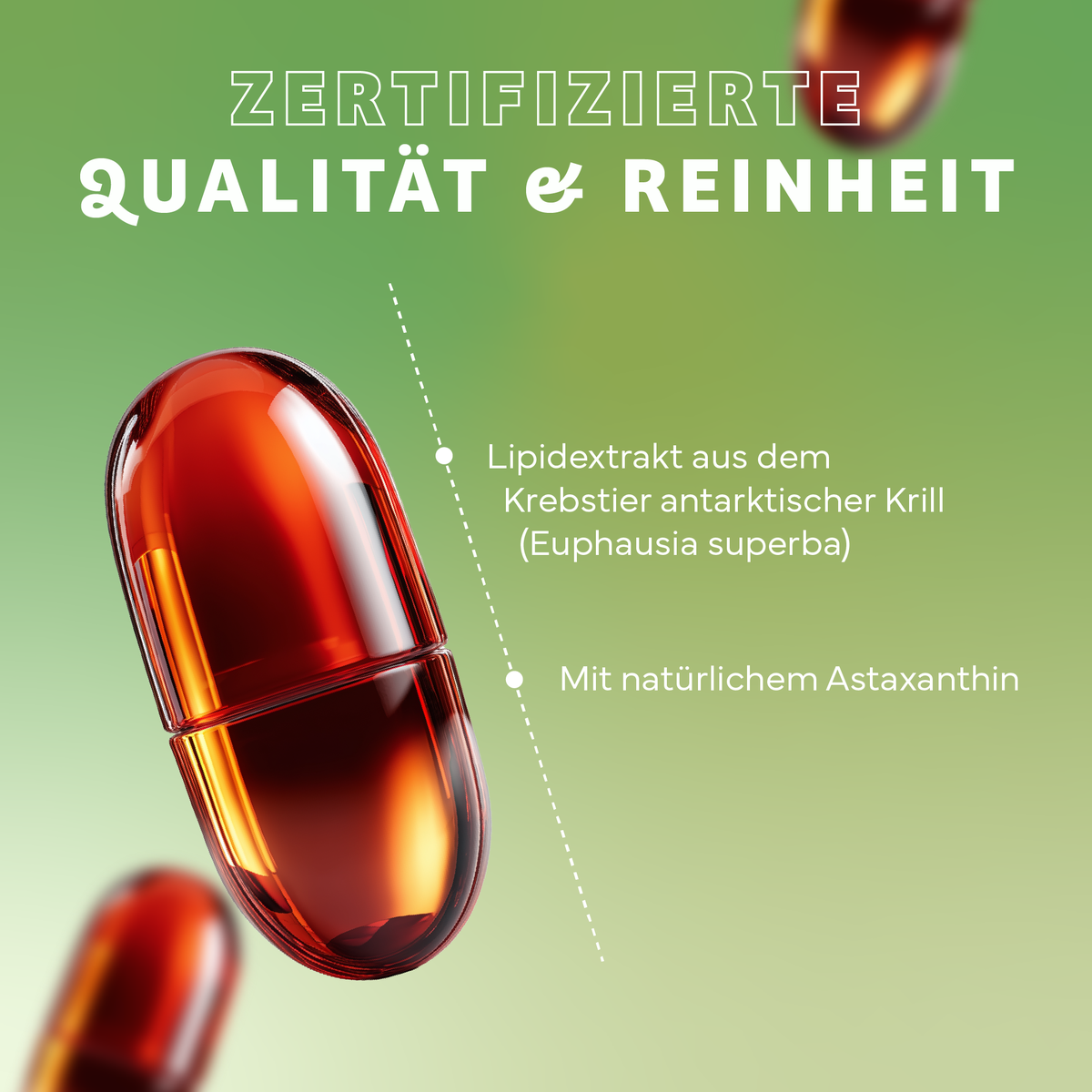 Werbung, Medikamente, Parfüm, Pille, Plakat, Werbung, Medikamente, Kosmetik, Parfüm, Pille, Kapsel, Pille, Lipidextrakt, Astaxanthin, Krebstierkrill