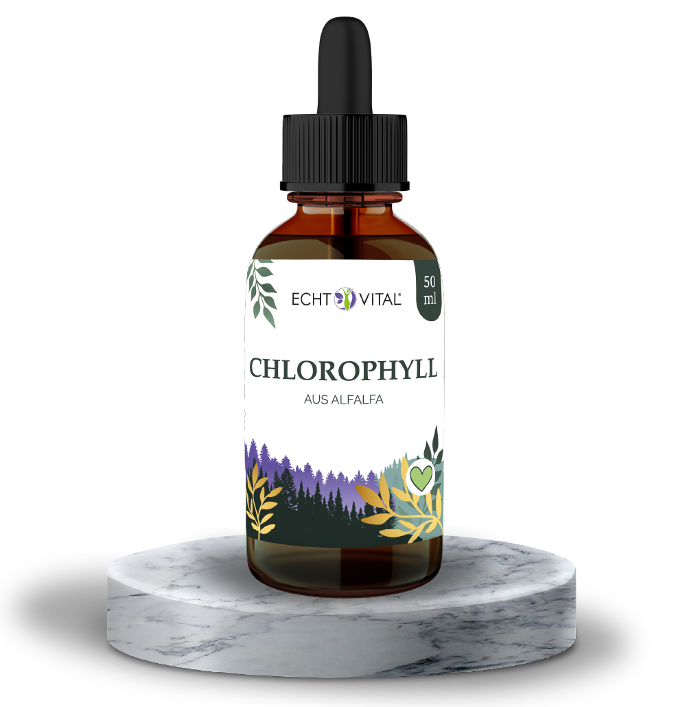 Kräuterig, Kräuter, Pflanze, Flasche, Parfüm