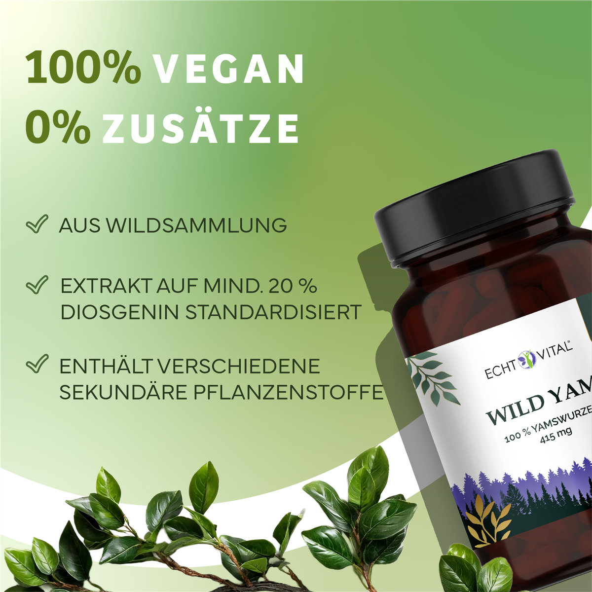 Kräuterig, Kräuter, Pflanze, Werbung, Astragalus, pflanzliches, extrakt, vegan, pflanzenstoffe, flasche