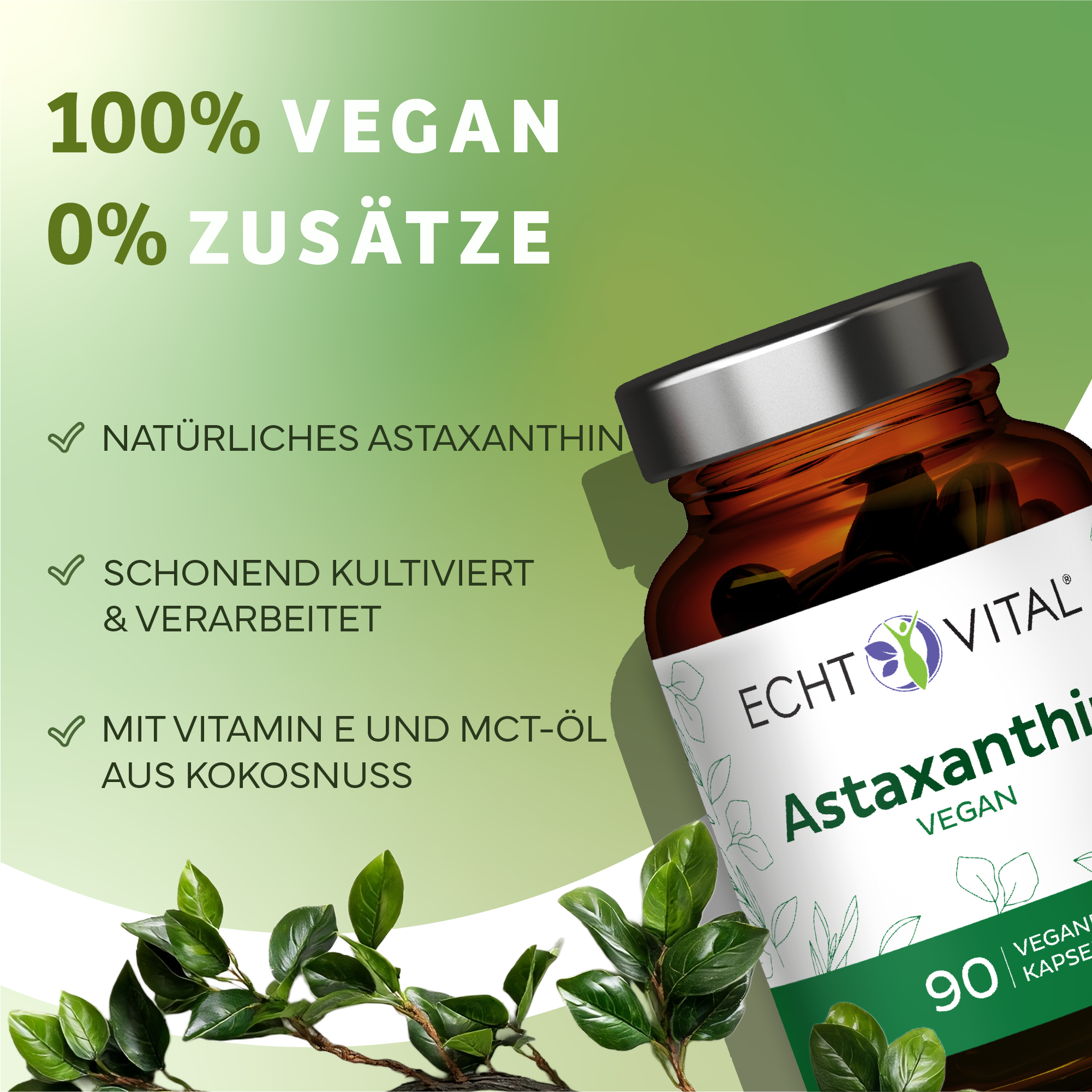 Kräuter, Pflanze, Astragalus, Sirup, Kräuter, Pflanze, Astragalus, Sirup