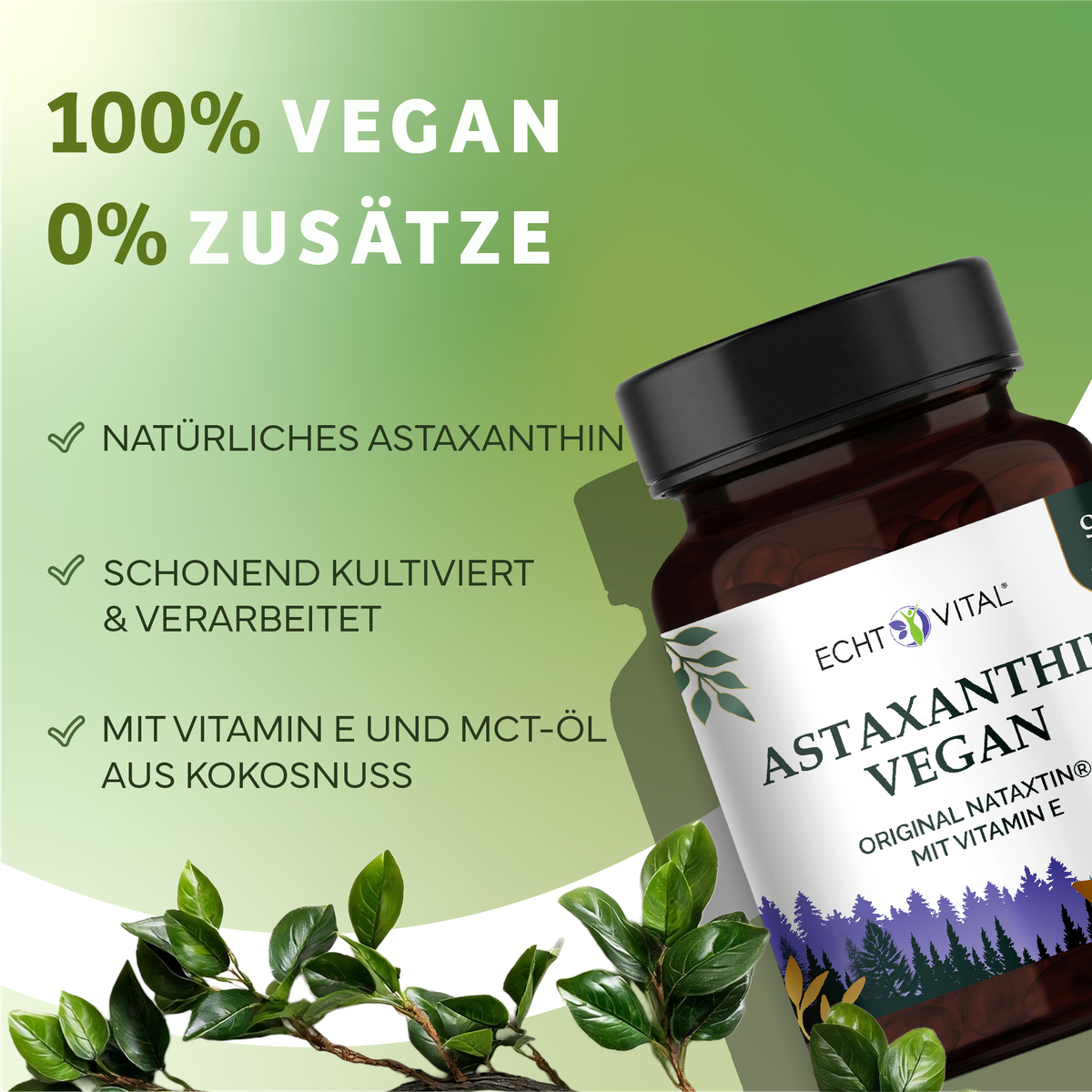 Kräuter, Pflanze, Astragalus, Sirup, Kräuter, Pflanze, Astragalus, Sirup, Kräuterig, Kräuter, Pflanze, Astragalus, Werbung, Astaxanthin, Kapseln, Vegan, Astaxanthin-Vegan, Kokosnussöl