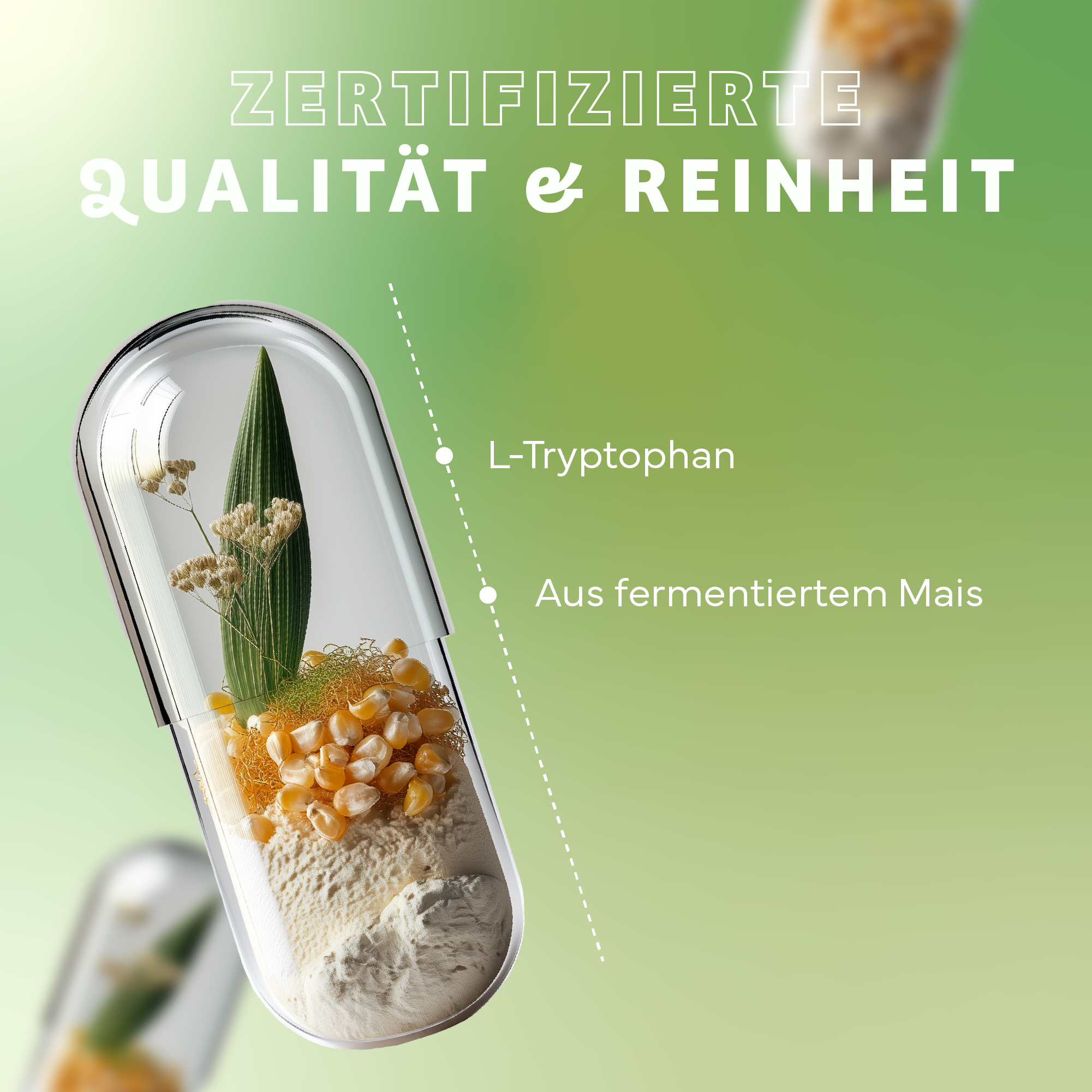 Werbung, Kräuterig, Kräuter, Pflanze, Plakat, Werbung, Kräuterig, Kräuter, Pflanze, Plakat