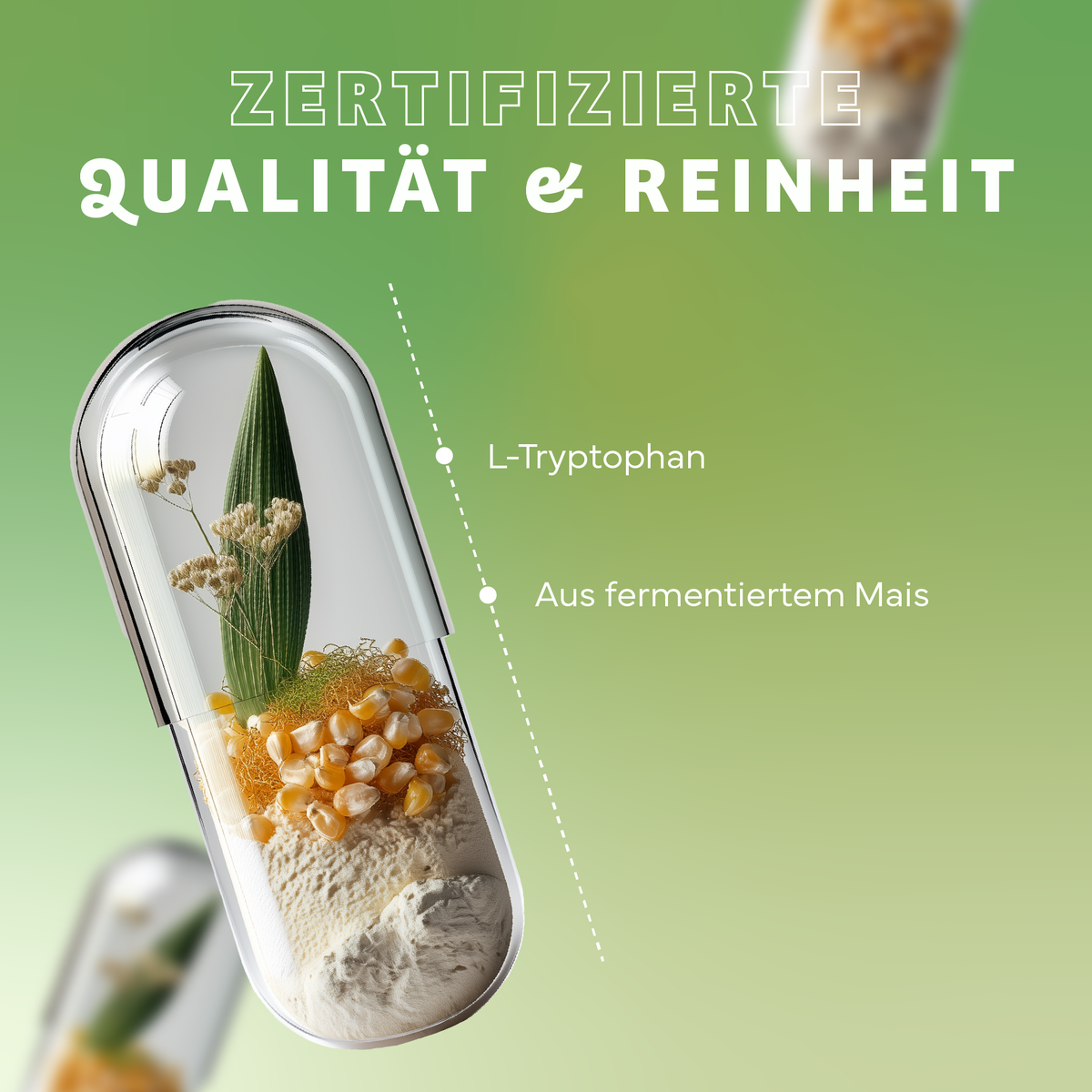 Werbung, Kräuterig, Kräuter, Pflanze, Plakat, Werbung, Kräuterig, Kräuter, Pflanze, Plakat, Kräuterig, Kräuter, Pflanze, Werbung, Pillenkapsel, Kapsel, Mais, L-Tryptophan, Fermentiertes Maisprodukt