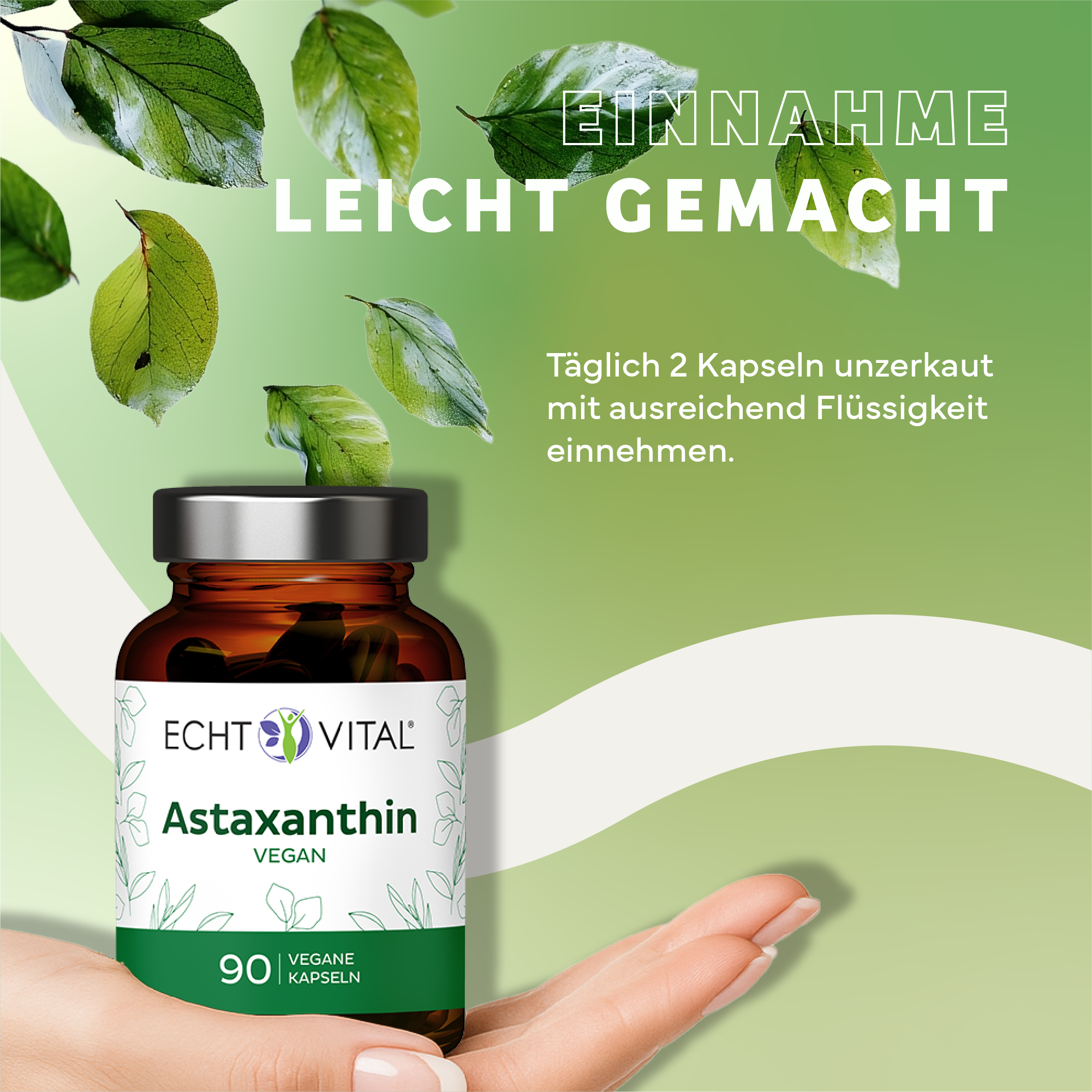 Kräuter, Werbung, Blatt, Astragalus