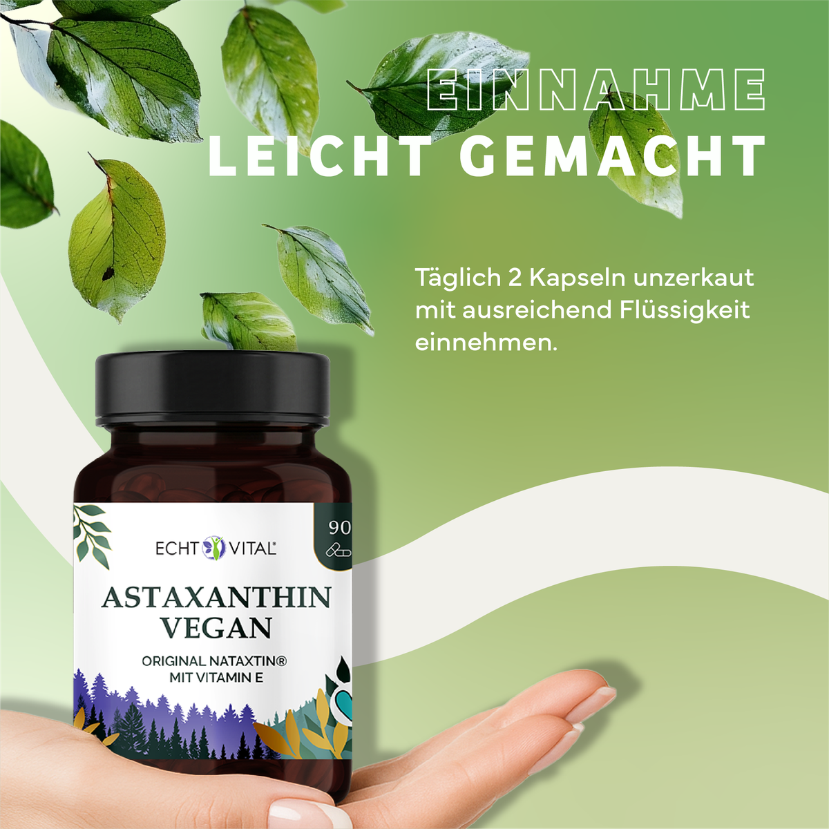 Kräuter, Werbung, Blatt, Astragalus, Kräuterig, Kräuter, Werbung, Astragalus, Blatt, Astaxanthin, Kapseln, Vegan, Original Nataktin, Vitamin E