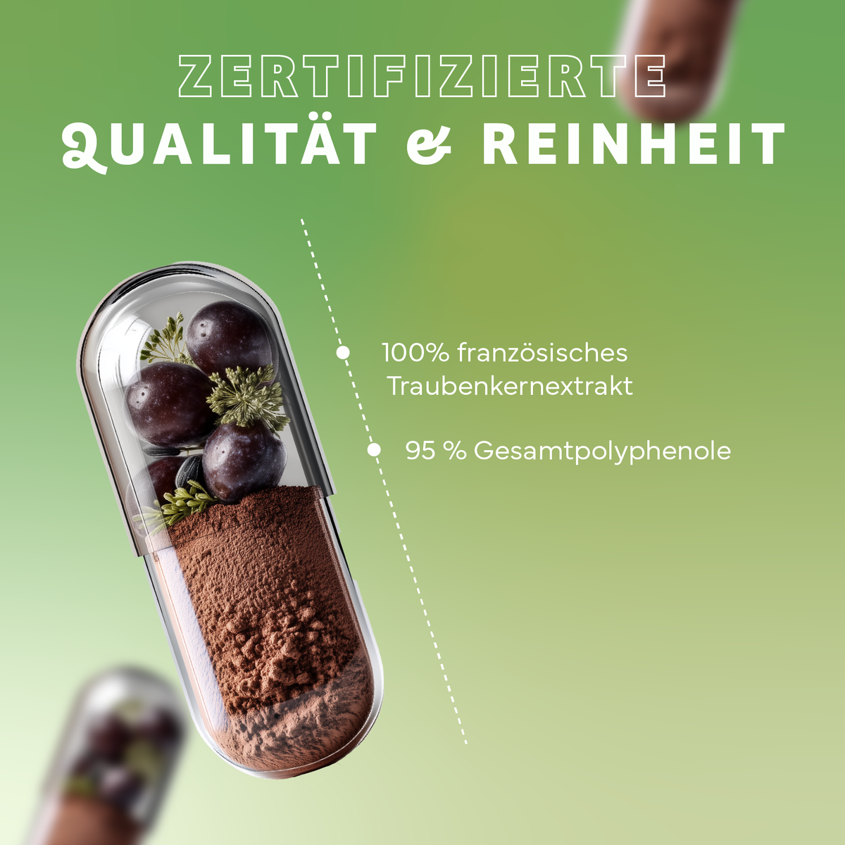 Werbung, Plakat, Nachtisch, Essen, Eiscreme, Werbung, Plakat, Nachtisch, Essen, Eiscreme, Werbung, Plakat, Nachtisch, Essen, Eiscreme, Snack, Kapsel, Schokoladenpulver, Traubenkernextrakt, Fruchtkomponente