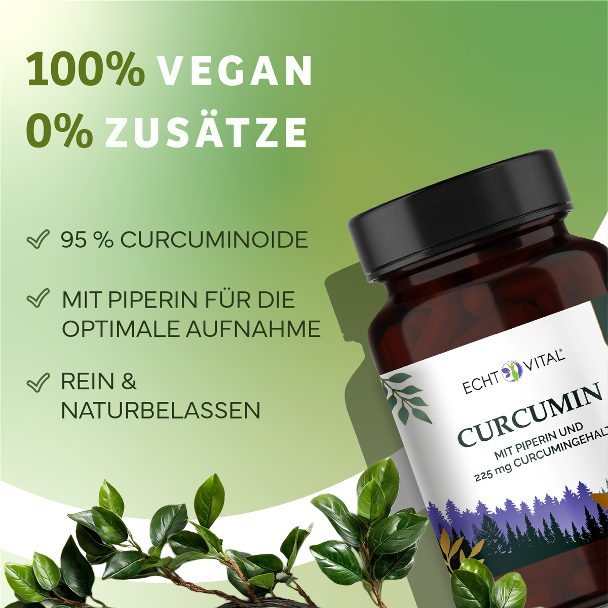Kräuter, Pflanze, Werbung, Astragalus, Kräuterig, Kräuter, Pflanze, Astragalus, Blume, curcumin, Flasche, Nahrungsergänzung, Kapsel, grüner Etikett