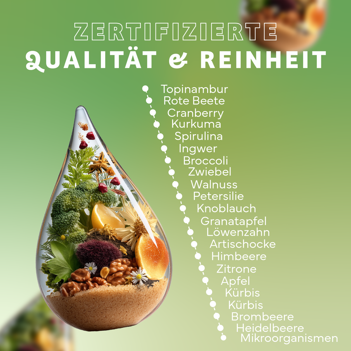 Werbung, Plakat, Essen, Mittagessen, Mahlzeit, Werbung, Plakat, Essen, Mittagessen, Mahlzeit, Glasampulle, Kräuter, Fruchtmix, Nahrungsergänzung, Zutatenliste