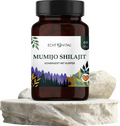 Mumijo Shilajit