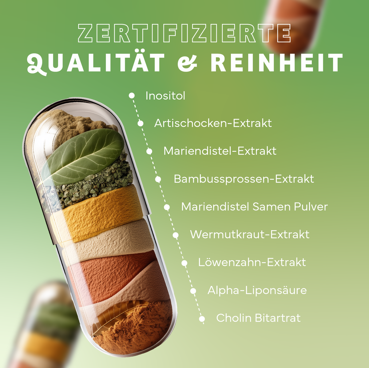 Werbung, Plakat, Kräuter, Pflanze, Eiscreme, Werbung, Kräuterig, Pflanze, Plakat, Eiscreme, Werbung, Plakat, Kräuter, Pflanze, Eiscreme, kapsel, pulver, extrakt, zubereitung, inhalt