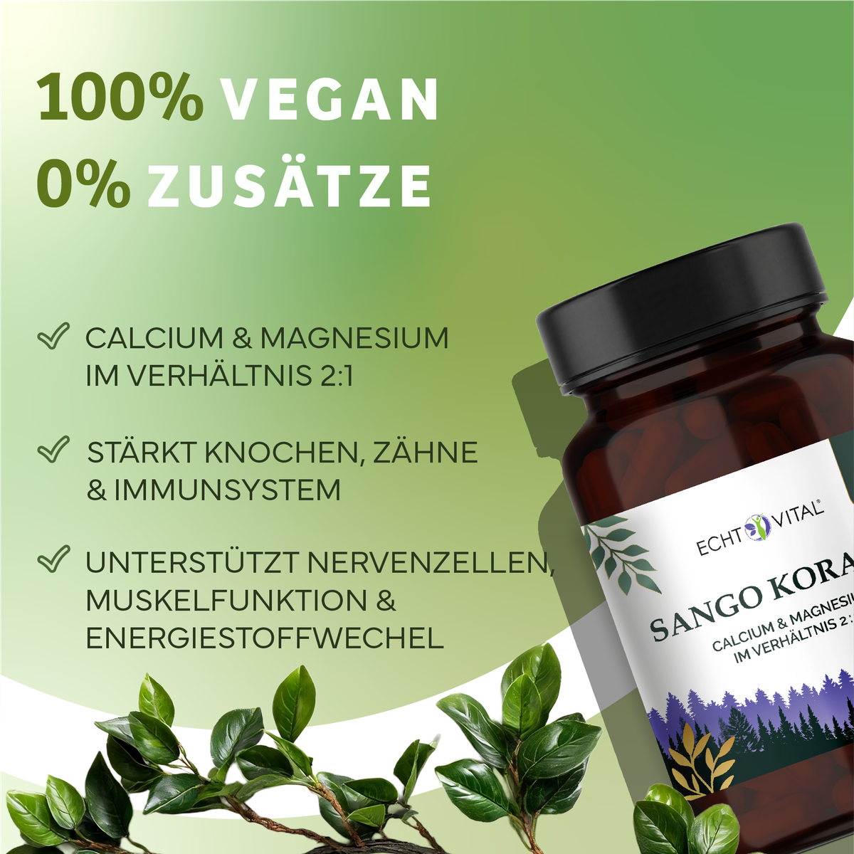 Kräuterig, Kräuter, Werbung, Astragalus, Plakat, pflanzenextrakt, kapseln, vegan, calcium, magnesium