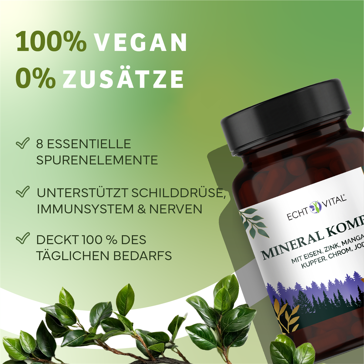 Kräuterig, Kräuter, Pflanze, Werbung, Astragalus, mineralien, nahrungsergänzung, kapseln, flasche, naturkosmetik