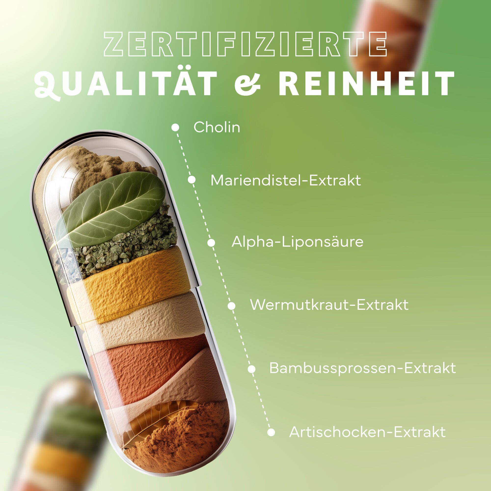 Werbung, Plakat, Kräuter, Pflanze, Eiscreme