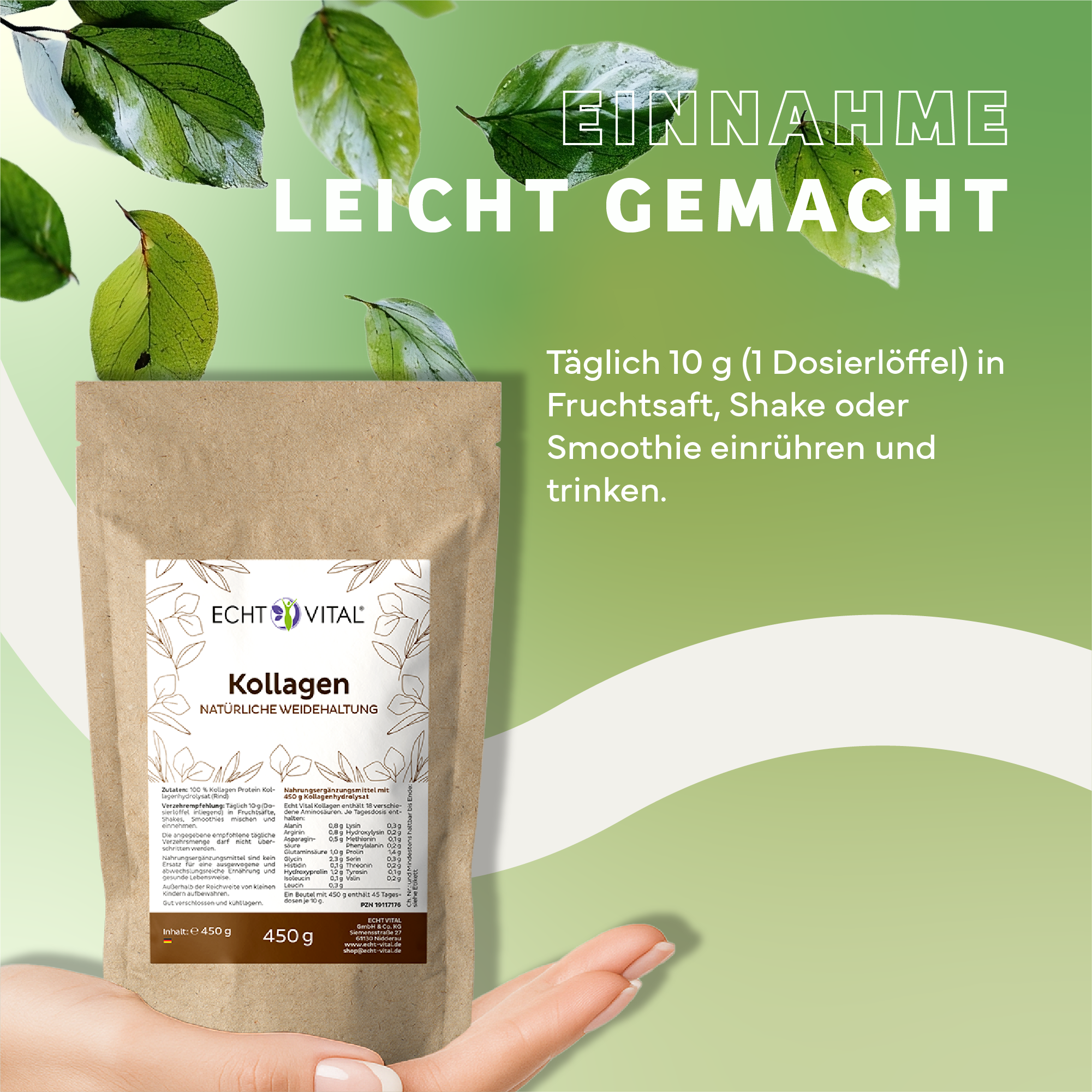 Werbung, Plakat, Kräuter, Pflanze, Blatt