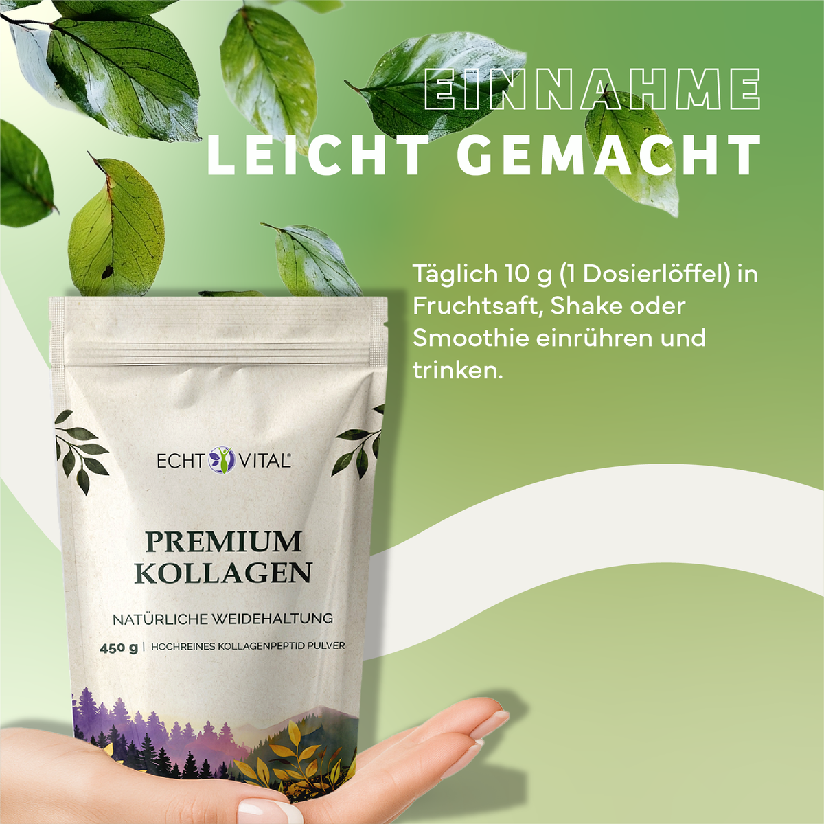 Werbung, Plakat, Kräuter, Pflanze, Blatt, Kräuter, Werbung, Plakat, Blatt, Kollagen, Nahrungsergänzung, Naturliches Kollagen, Kollagenpulver, Premium, Kollagen, Pulver, Naturkosmetik, Nahrungsergänzung, Beutel