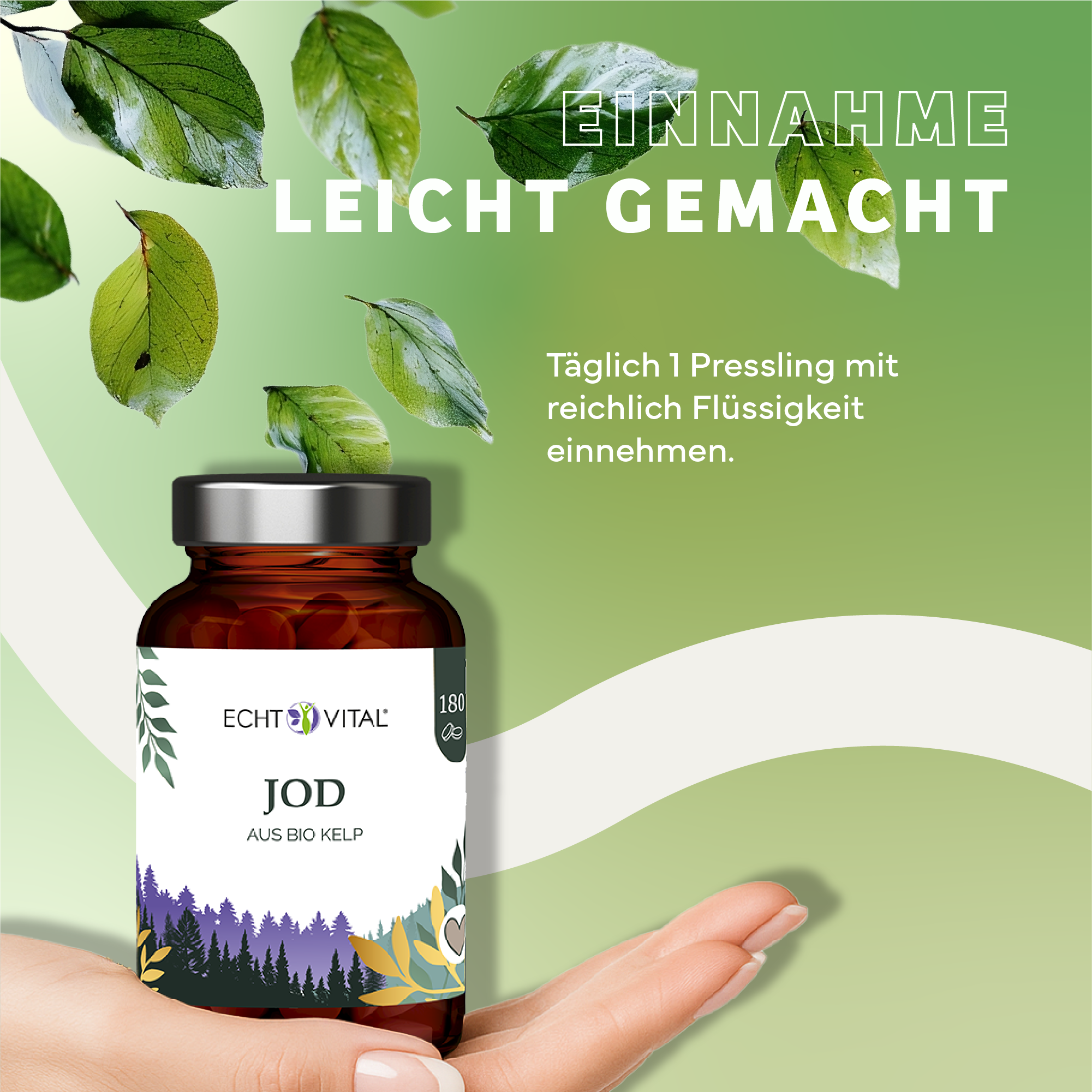 Kräuter, Werbung, Blatt, Plakat