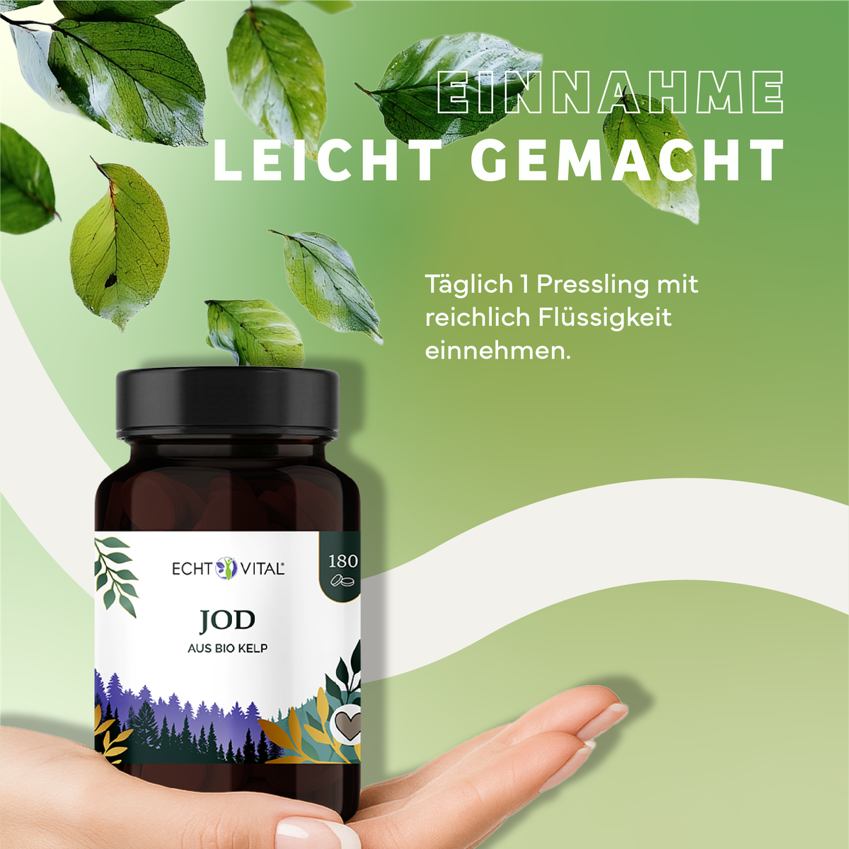 Kräuter, Werbung, Blatt, Plakat, Kräuterig, Kräuter, Pflanze, Werbung, Astragalus, Kapseln, Jod, Biokingel, Kelp, Nahrungsergänzung