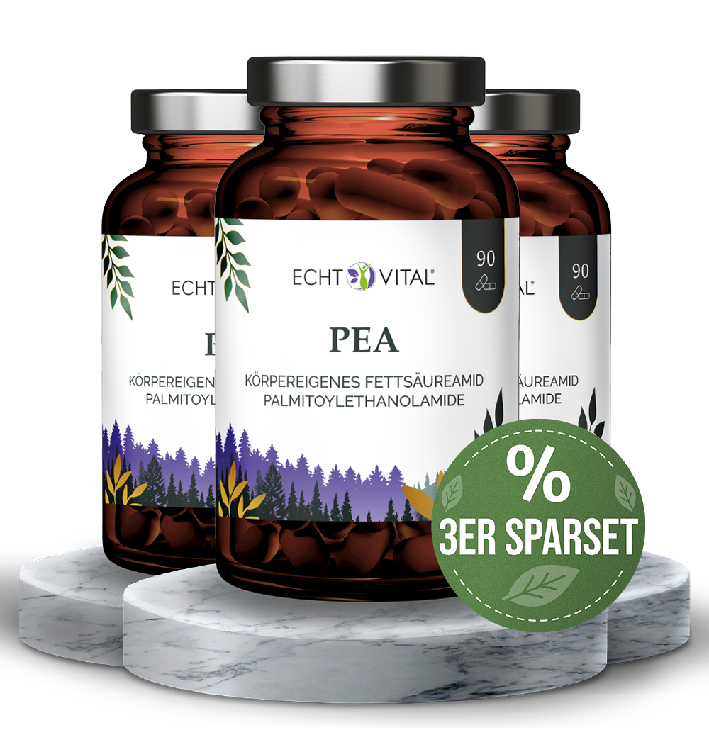 Kräuter, Pflanze, Blume, Astragalus