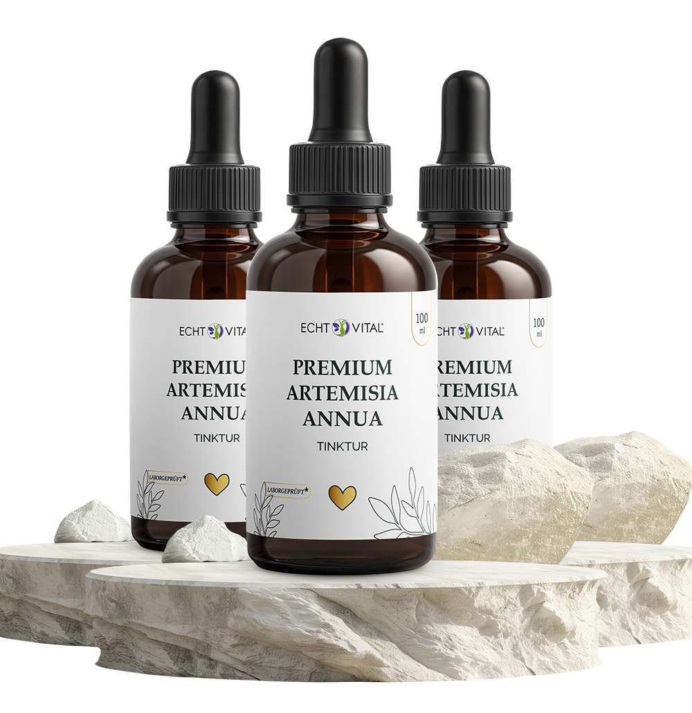 Premium Artemisia annua Tinktur - ECHT VITAL Premium Qualität